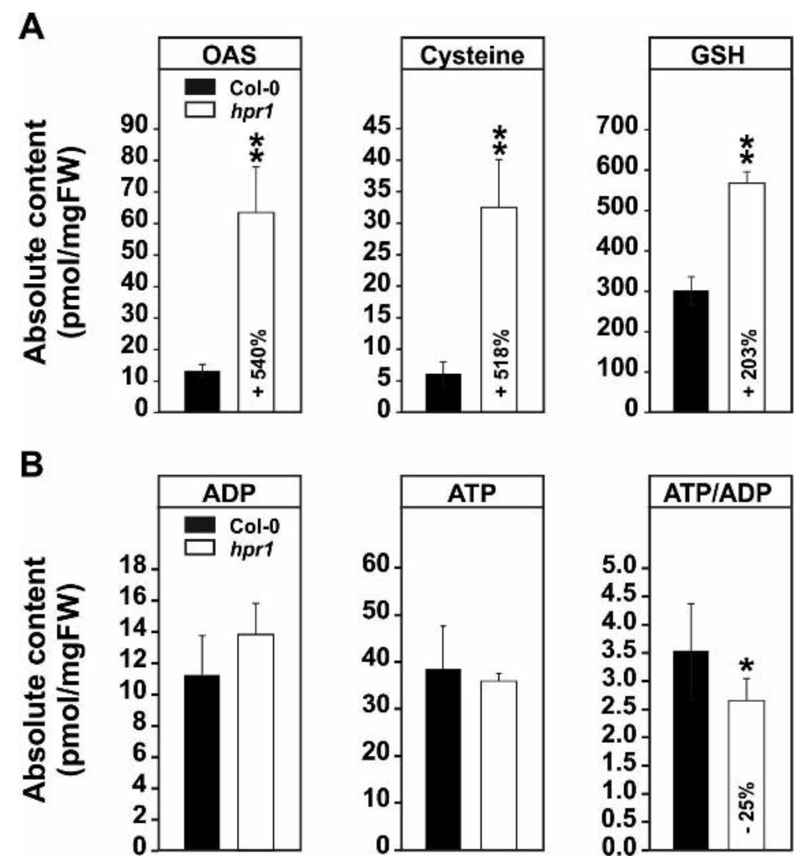 Metabolites 11 00391 g003 Metabolites 11 00391 g003