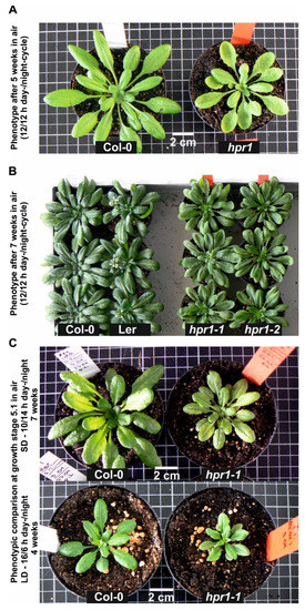 Metabolites 11 00391 g0a2