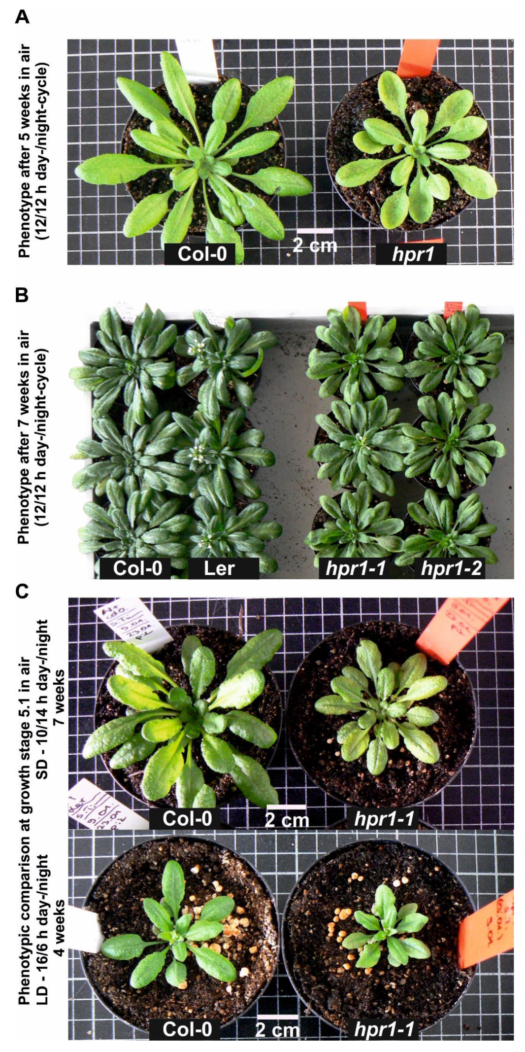 Metabolites 11 00391 g0a2 Metabolites 11 00391 g0a2