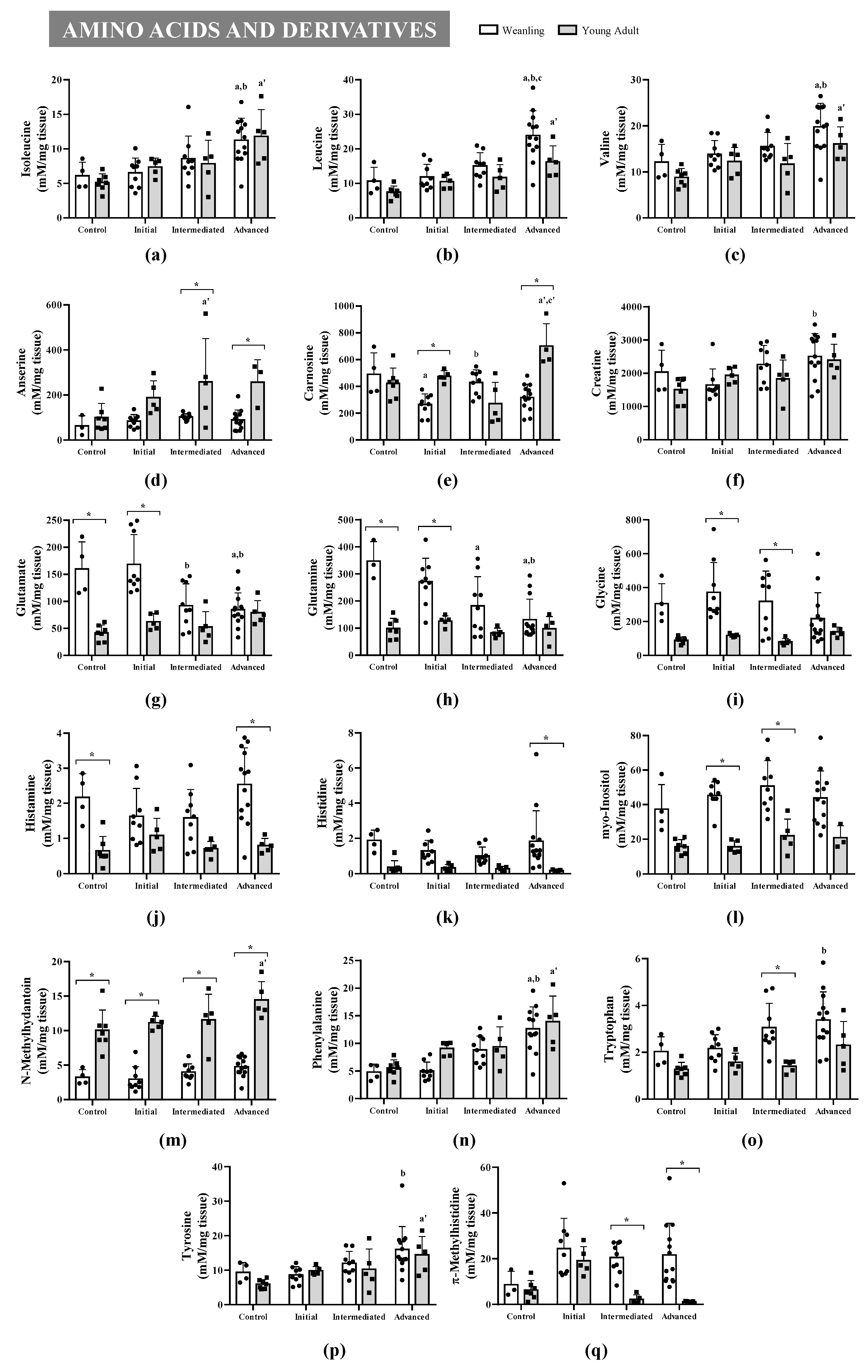 Metabolites 11 00404 g002 Metabolites 11 00404 g002