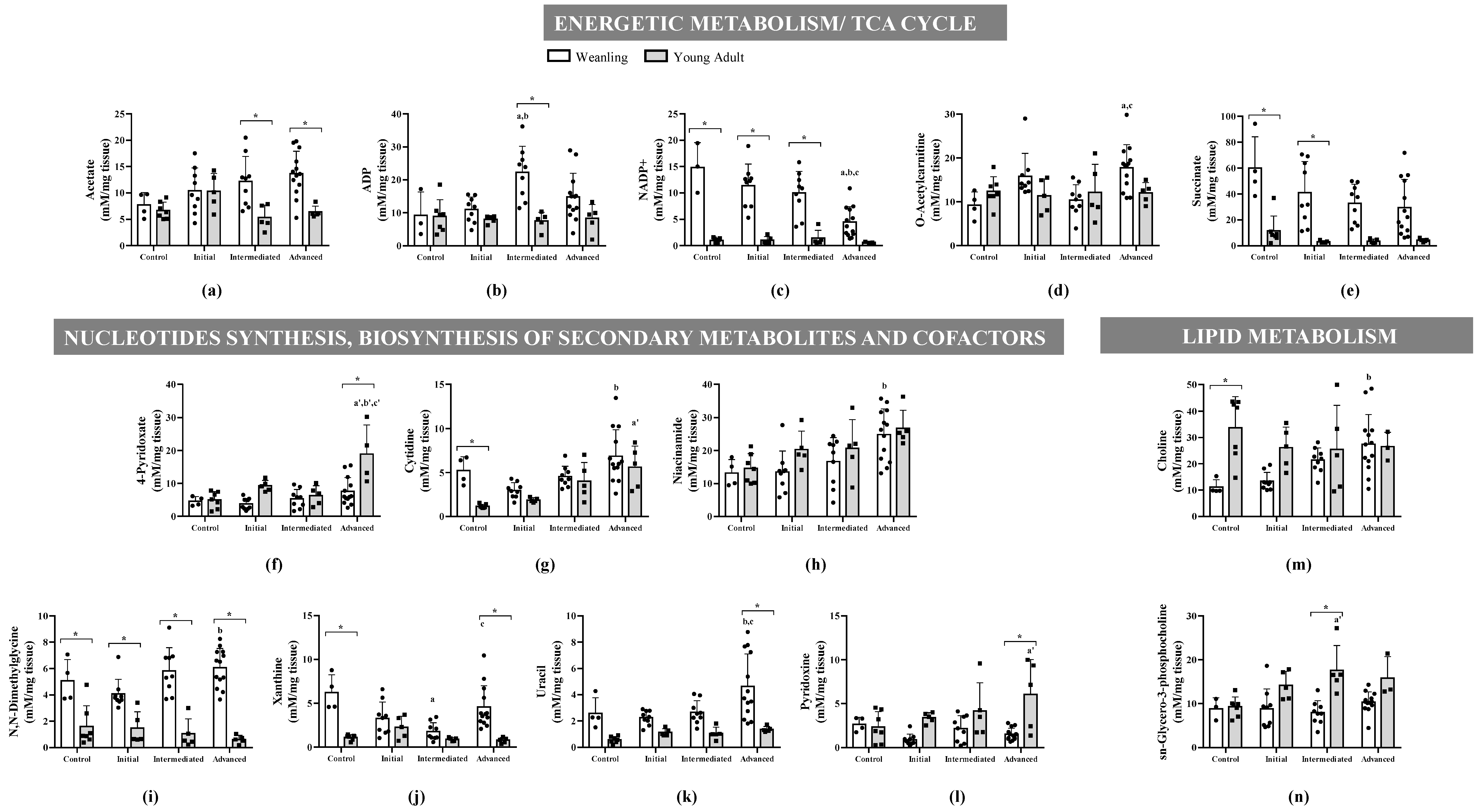 Metabolites 11 00404 g003 Metabolites 11 00404 g003