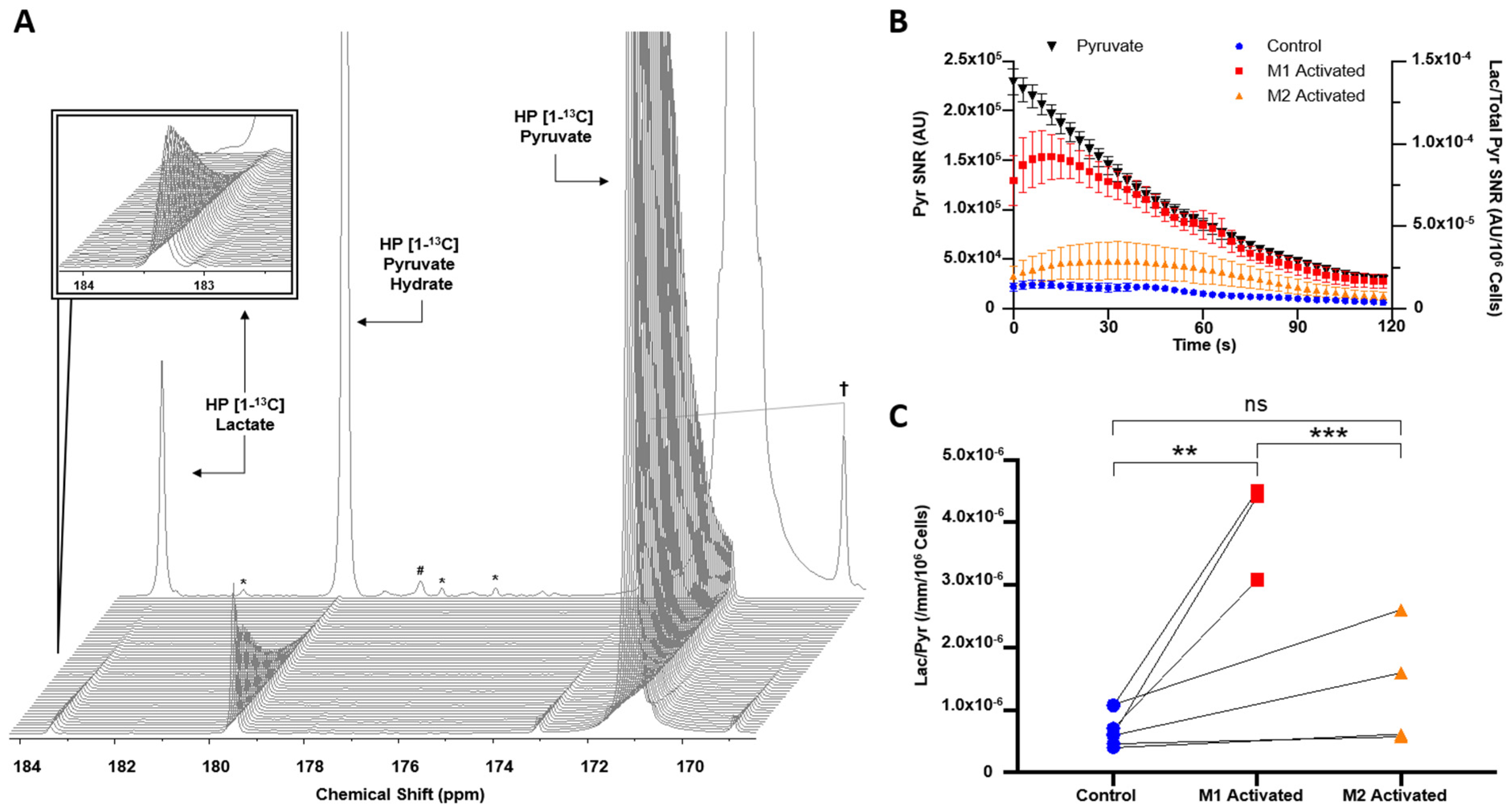 Metabolites 11 00410 g002
