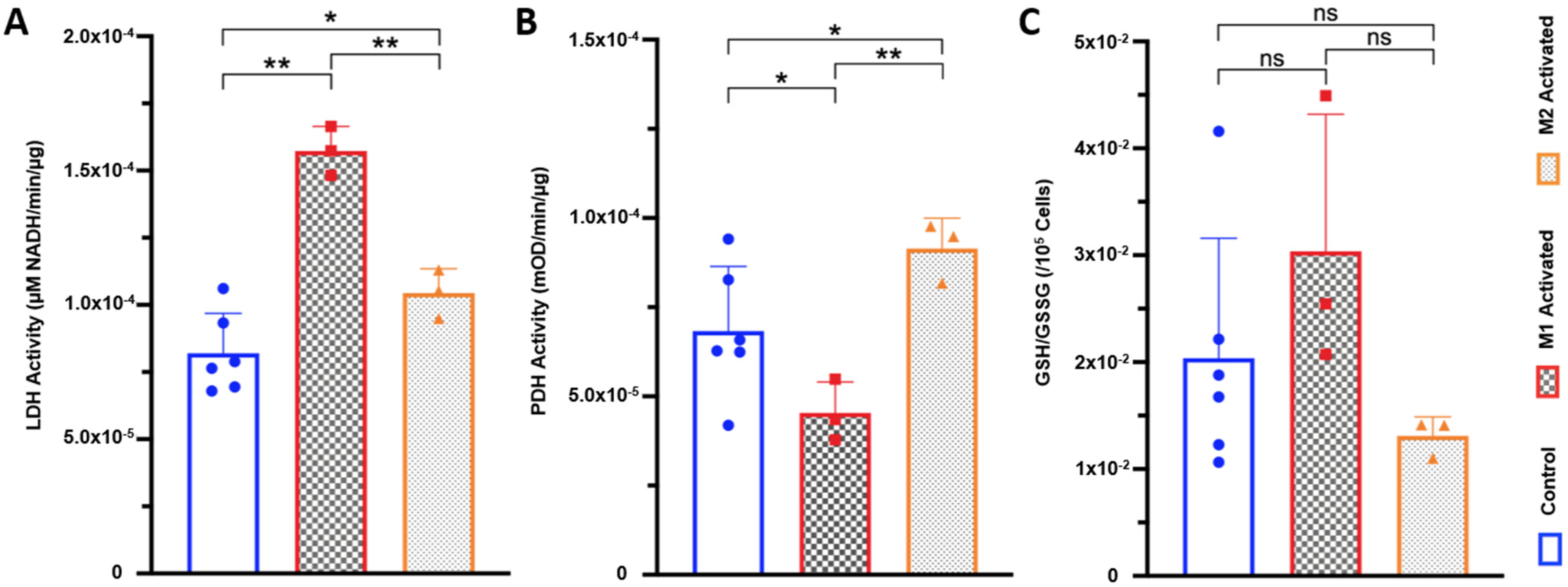 Metabolites 11 00410 g004