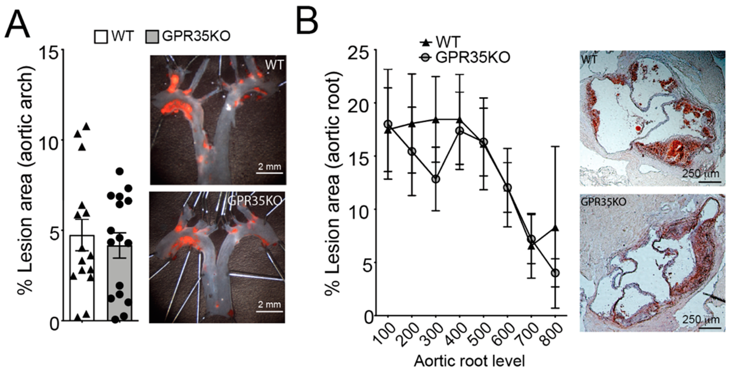 Metabolites 11 00411 g002