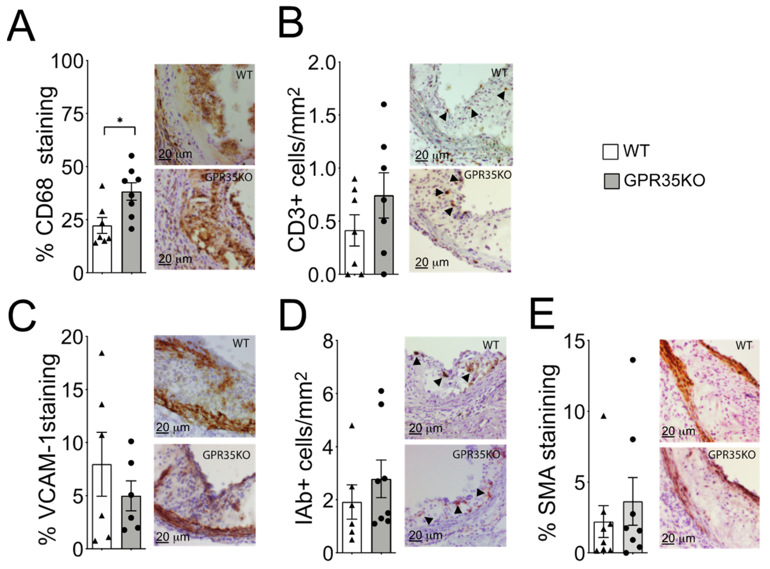 Metabolites 11 00411 g003
