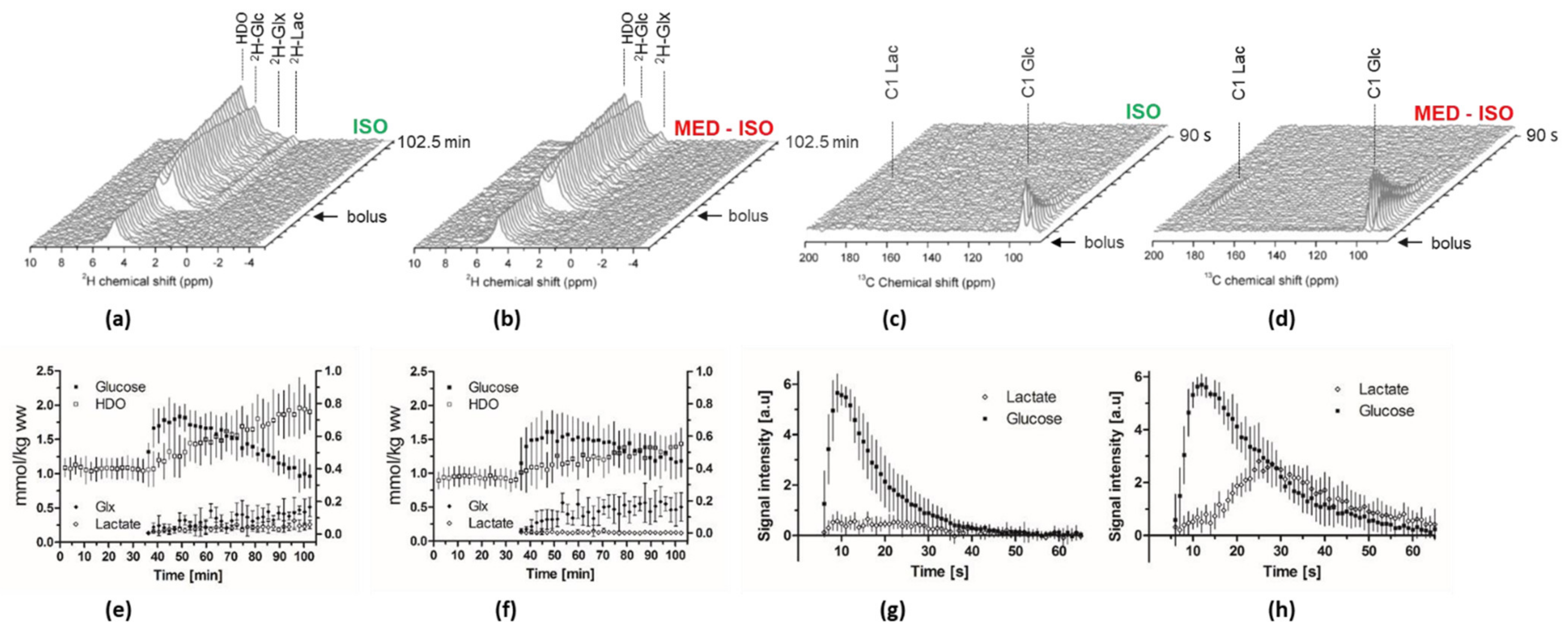 Metabolites 11 00413 g002