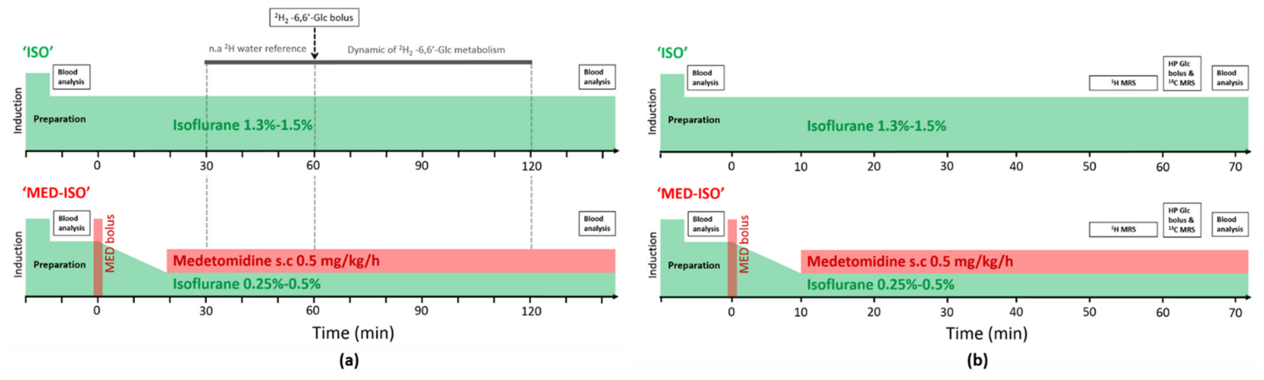 Metabolites 11 00413 g004