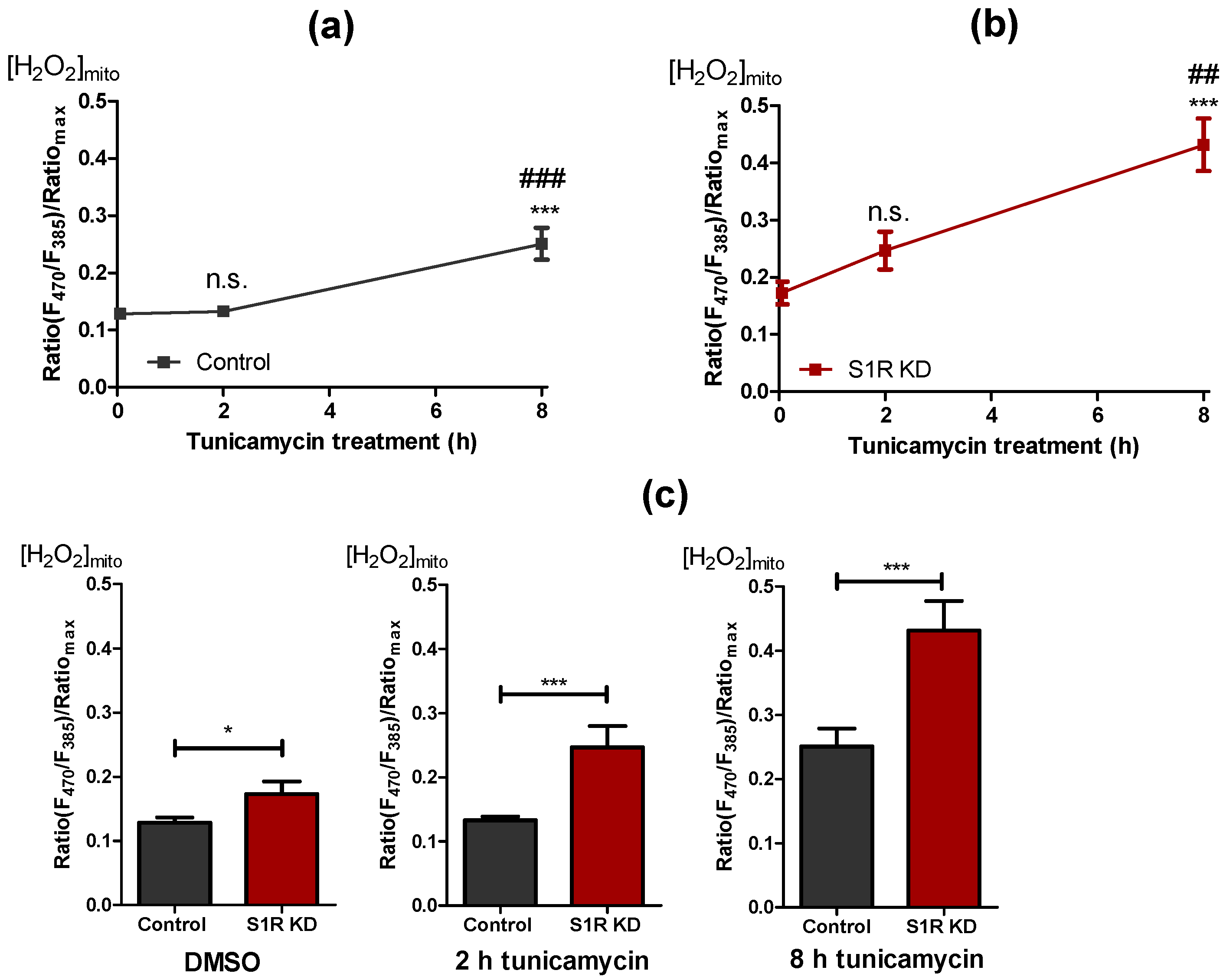 Metabolites 11 00422 g005 Metabolites 11 00422 g005