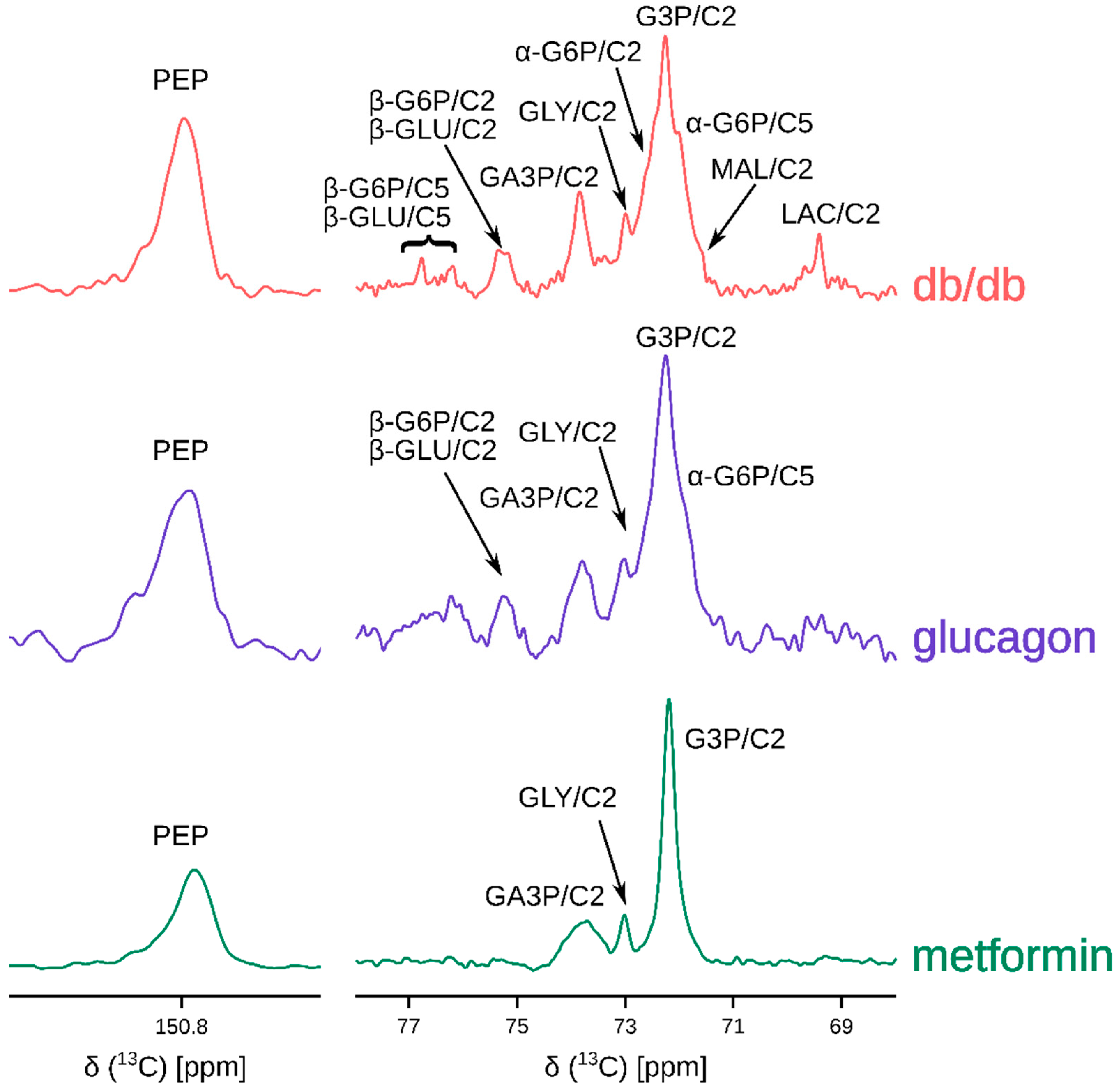 Metabolites 11 00441 g002