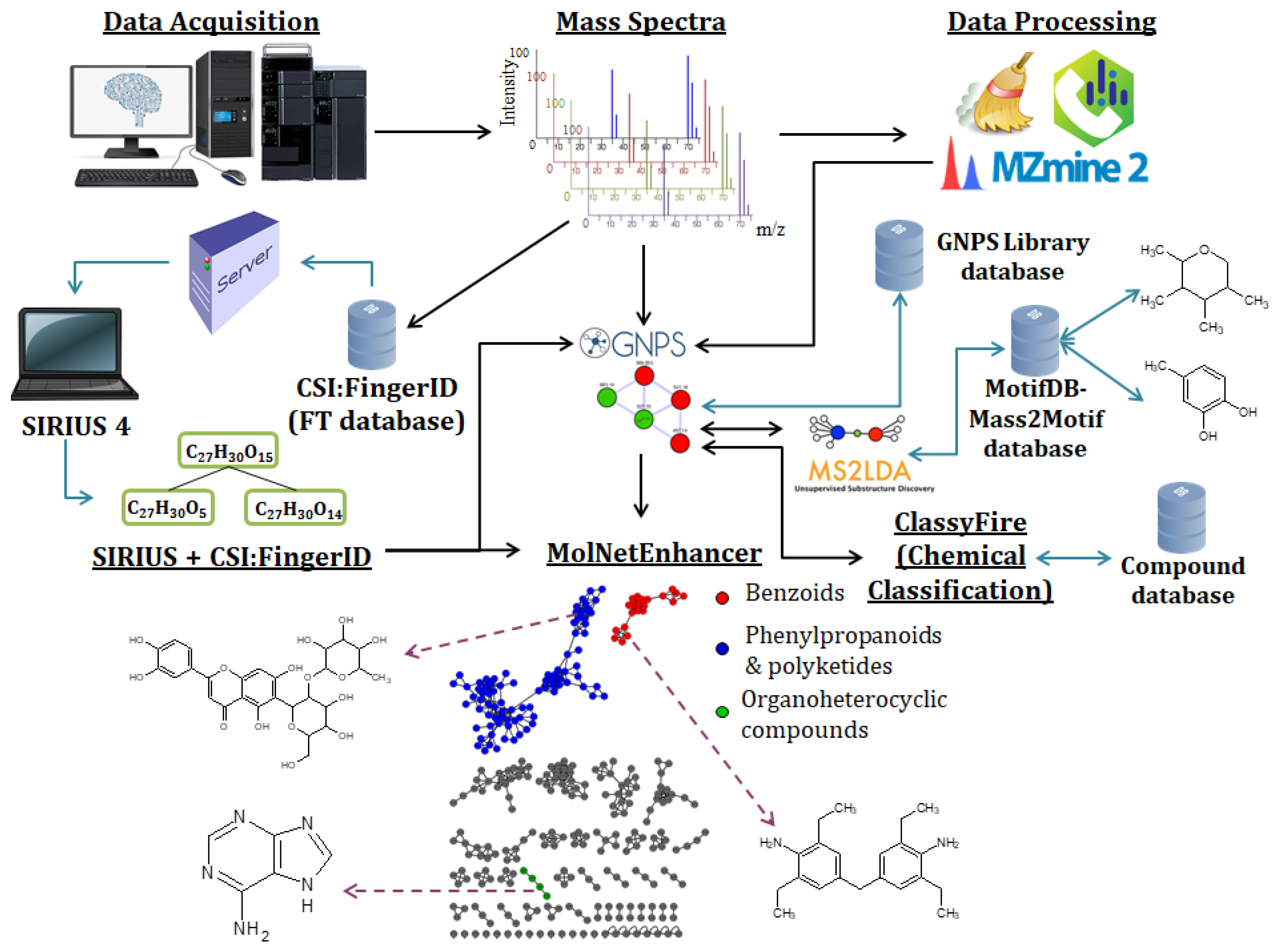 Metabolites 11 00445 g004