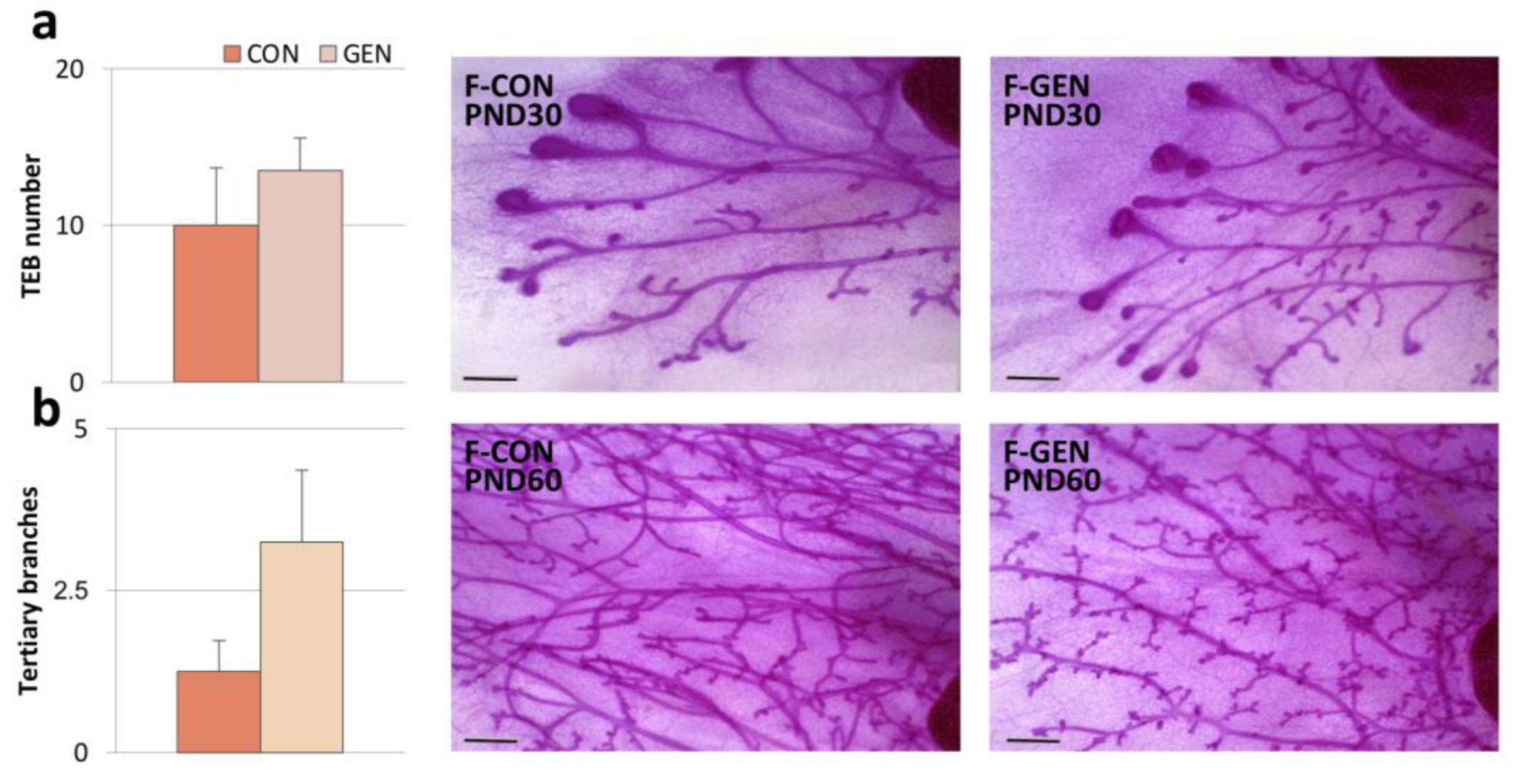 Metabolites 11 00449 g002