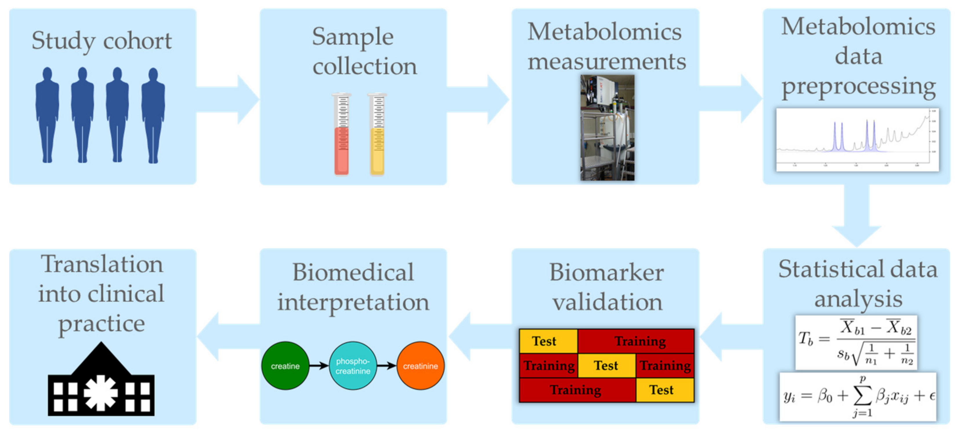 Metabolites 11 00460 g001 Metabolites 11 00460 g001