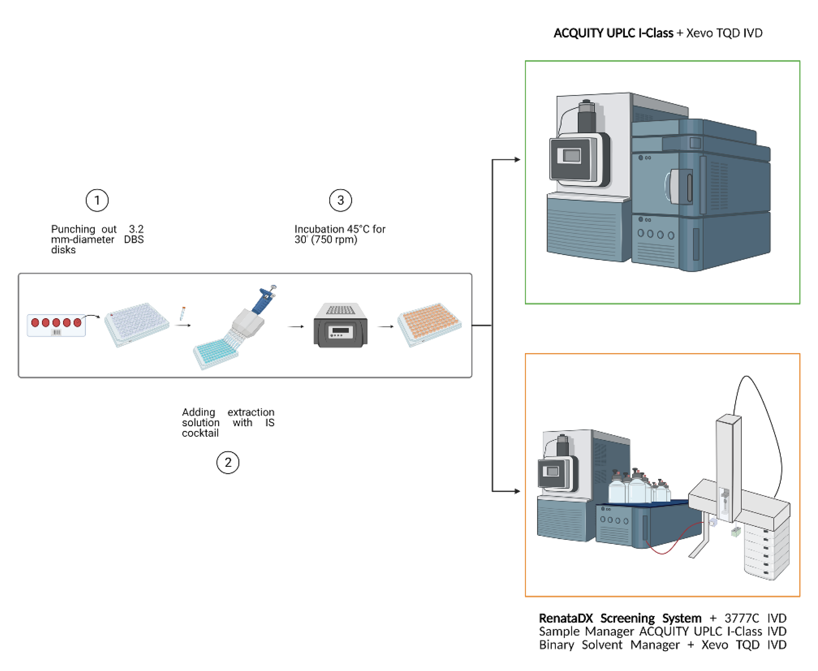 Metabolites 11 00473 g005
