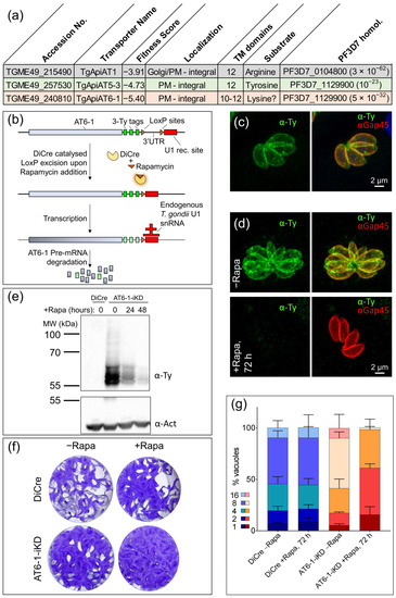 Metabolites 11 00476 g001 550