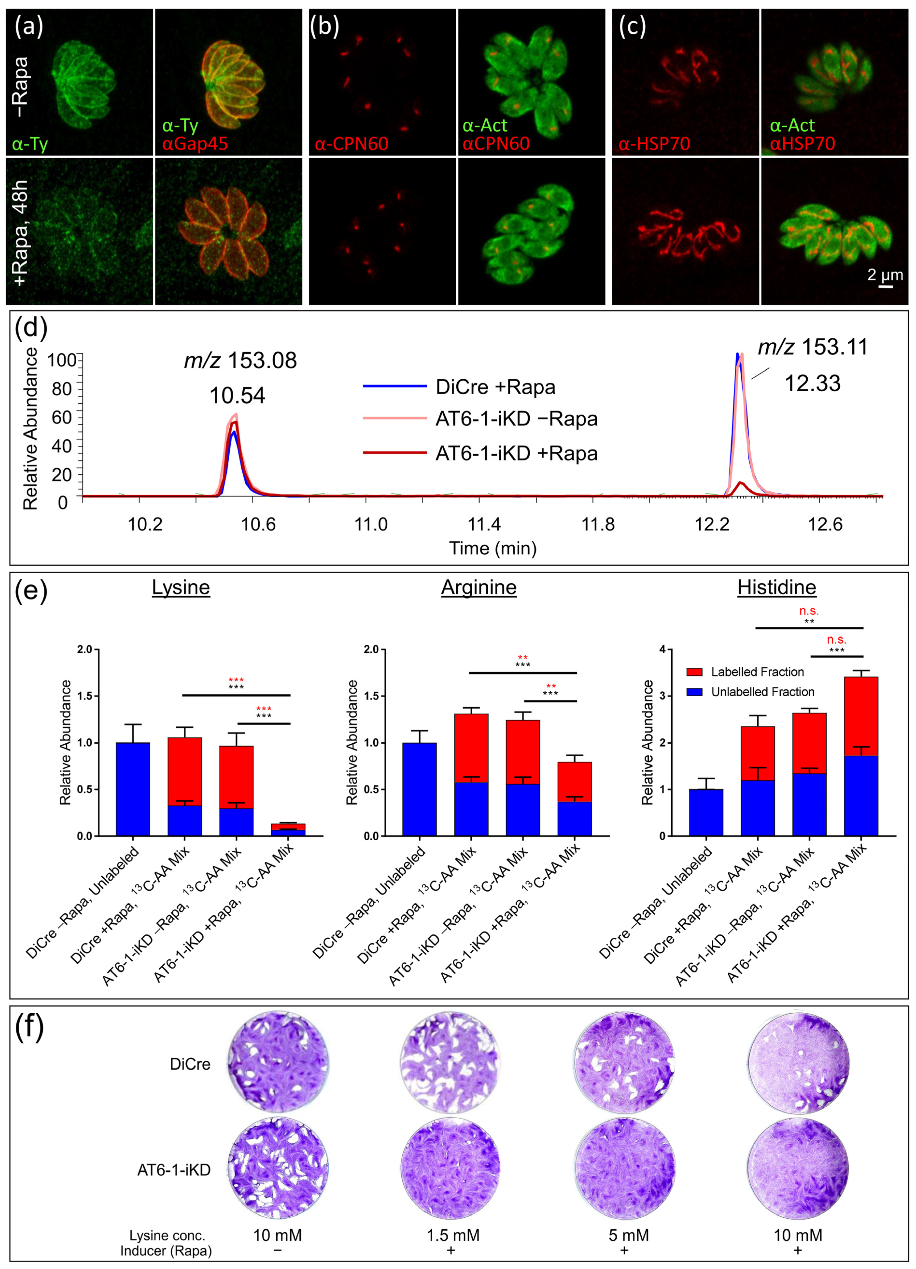 Metabolites 11 00476 g003