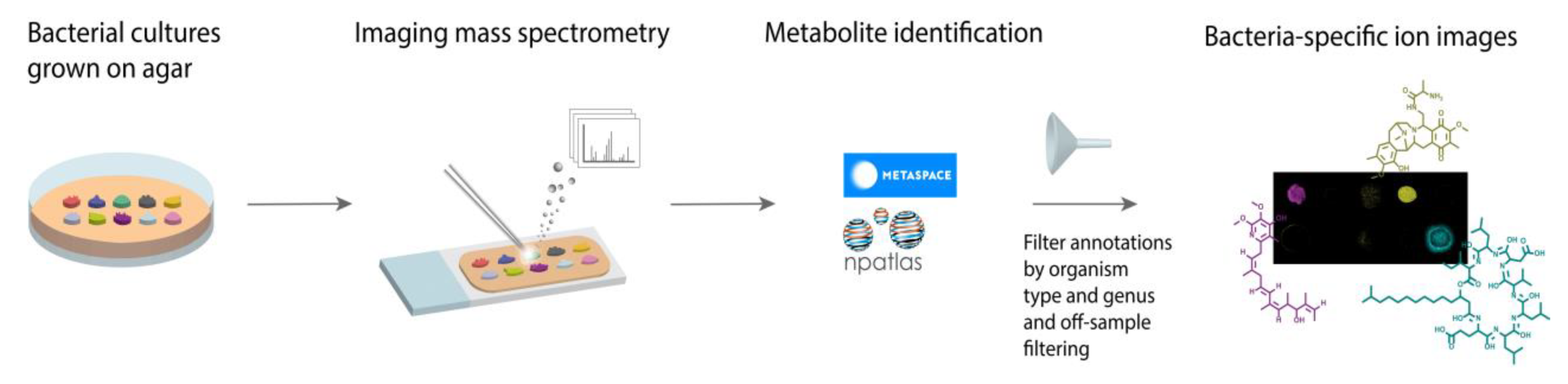 Metabolites 11 00477 g001