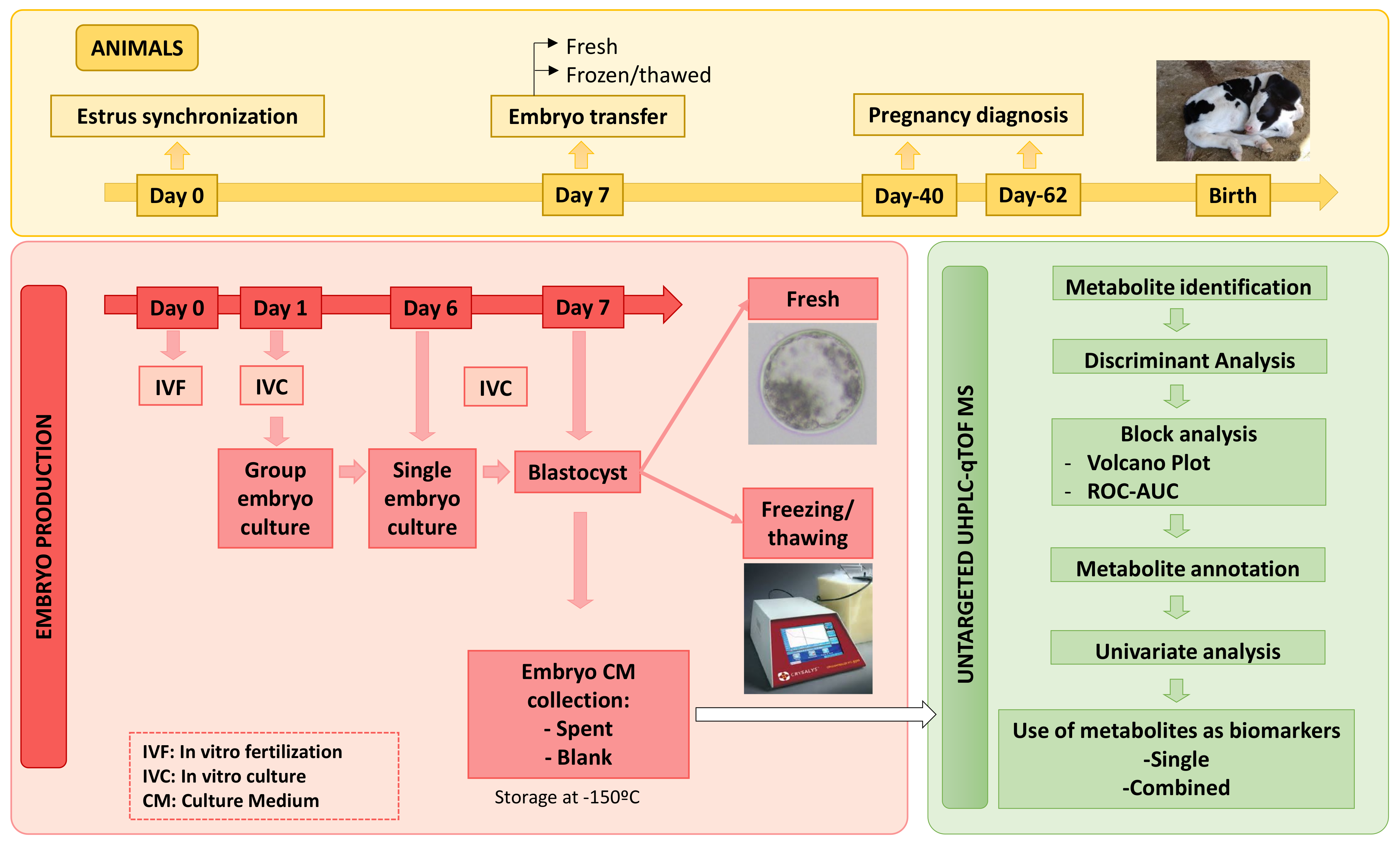 Metabolites 11 00484 g008 Metabolites 11 00484 g008