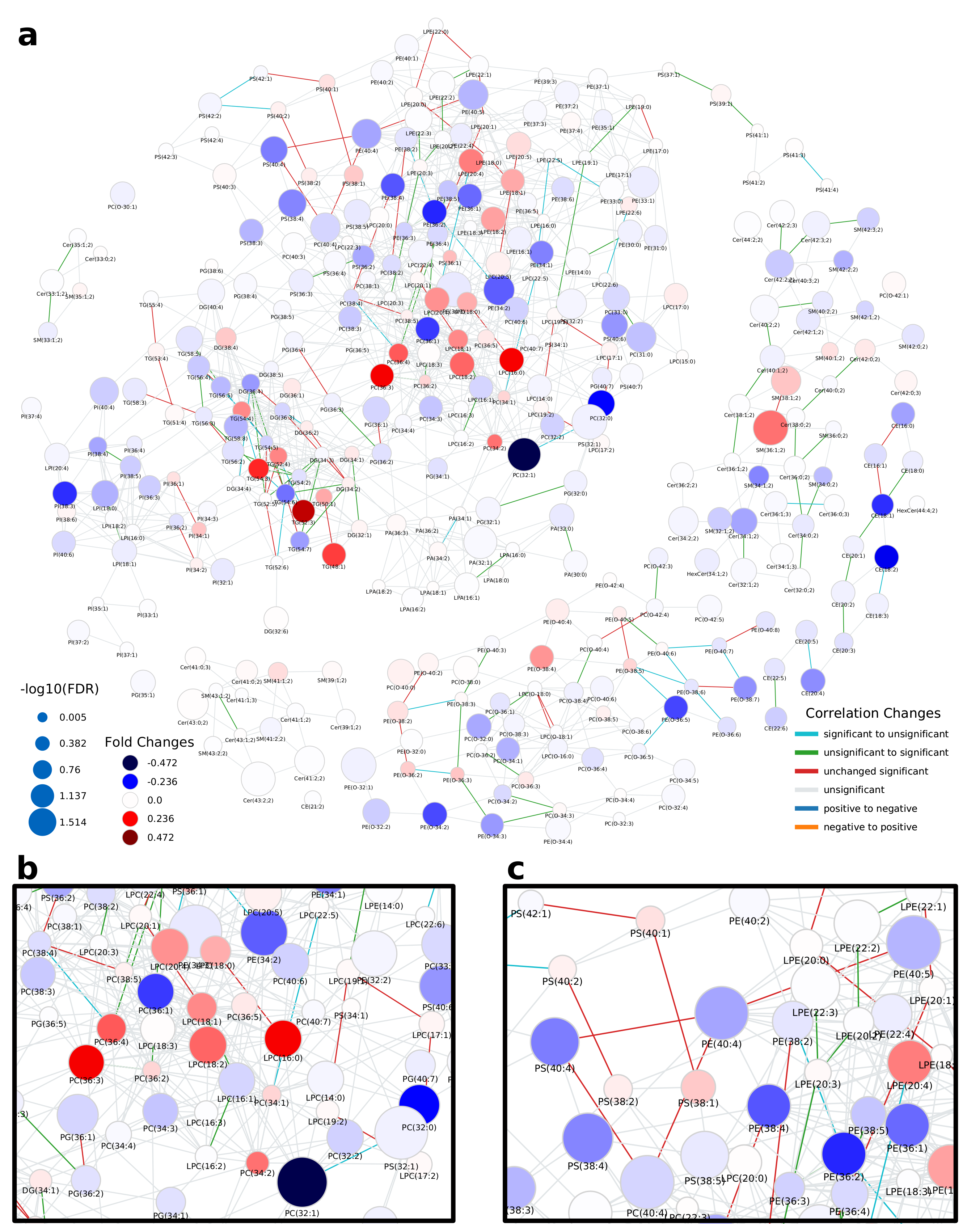 Metabolites 11 00488 g002