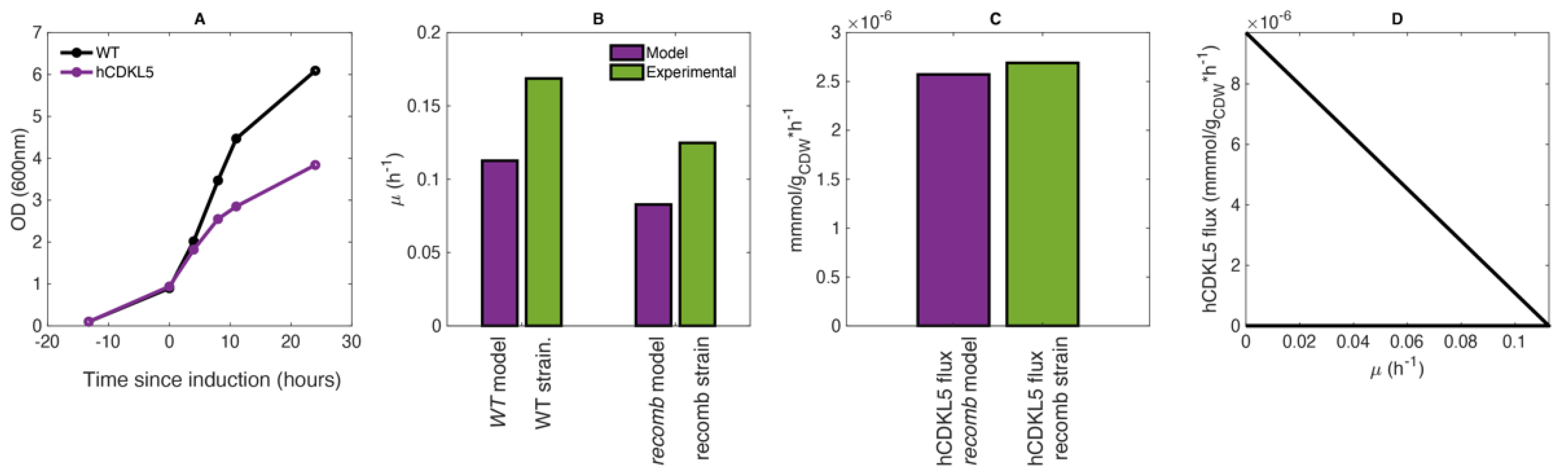 Metabolites 11 00491 g001