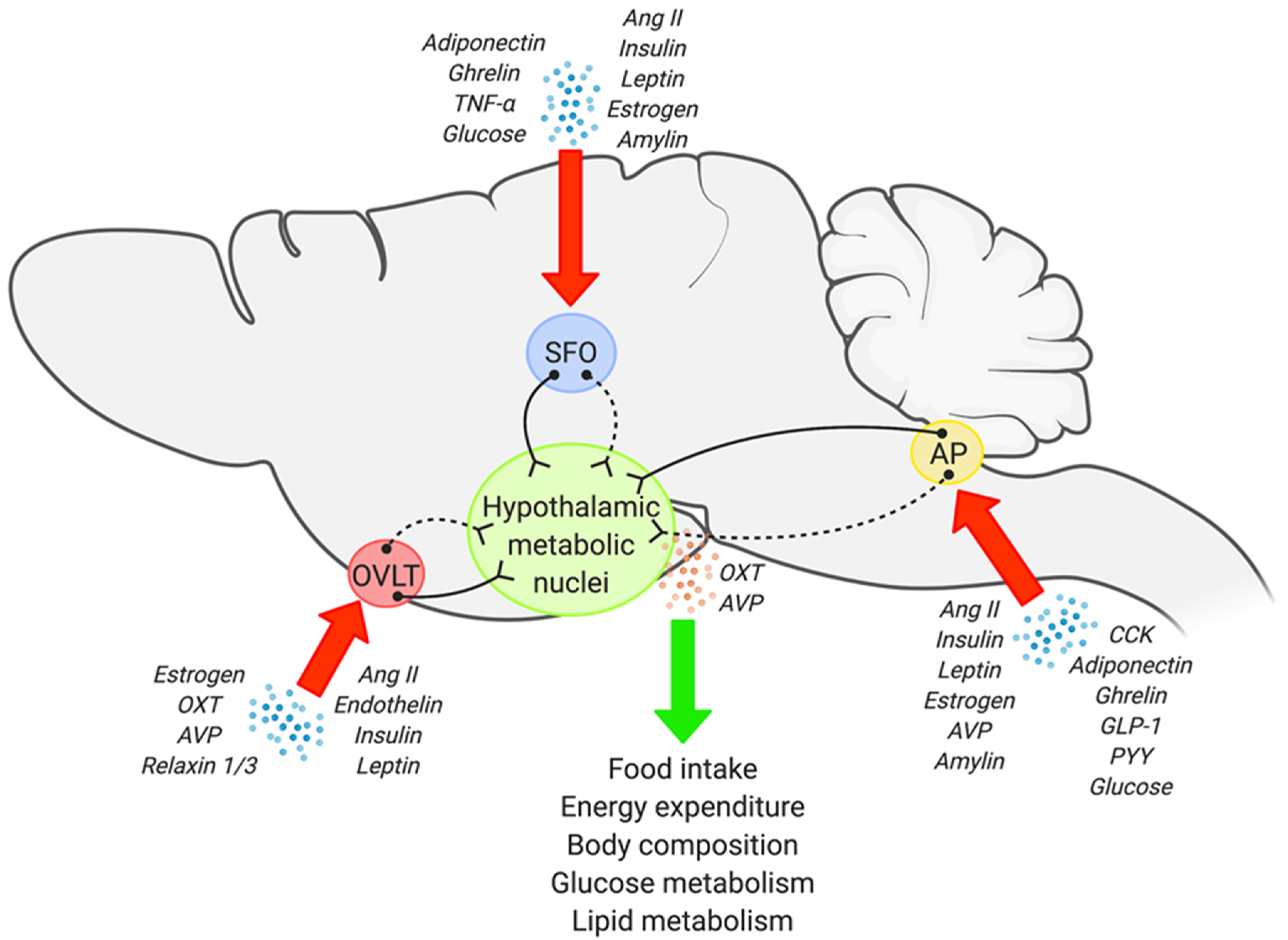 Metabolites 11 00494 g001