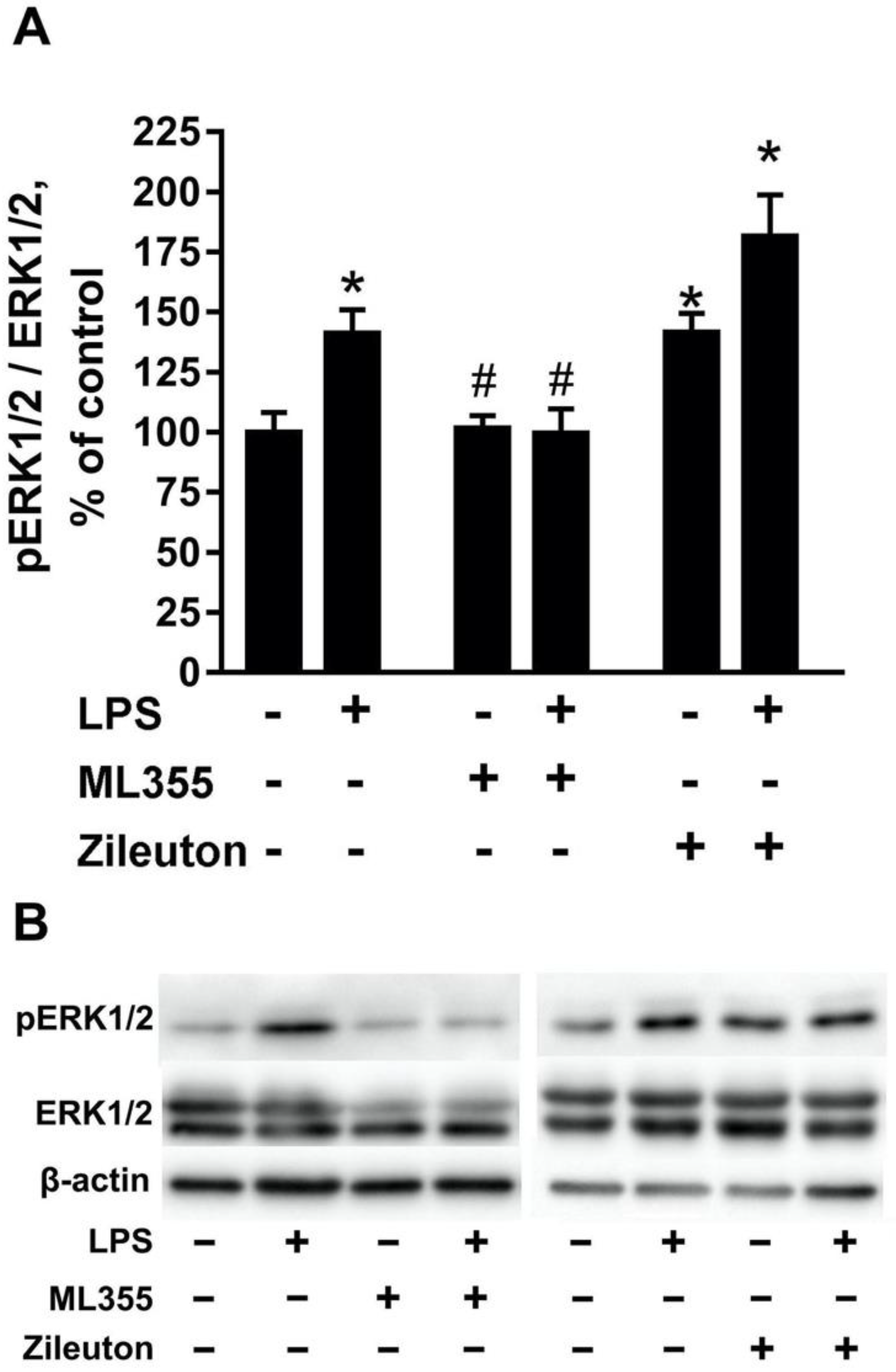 Metabolites 11 00498 g002