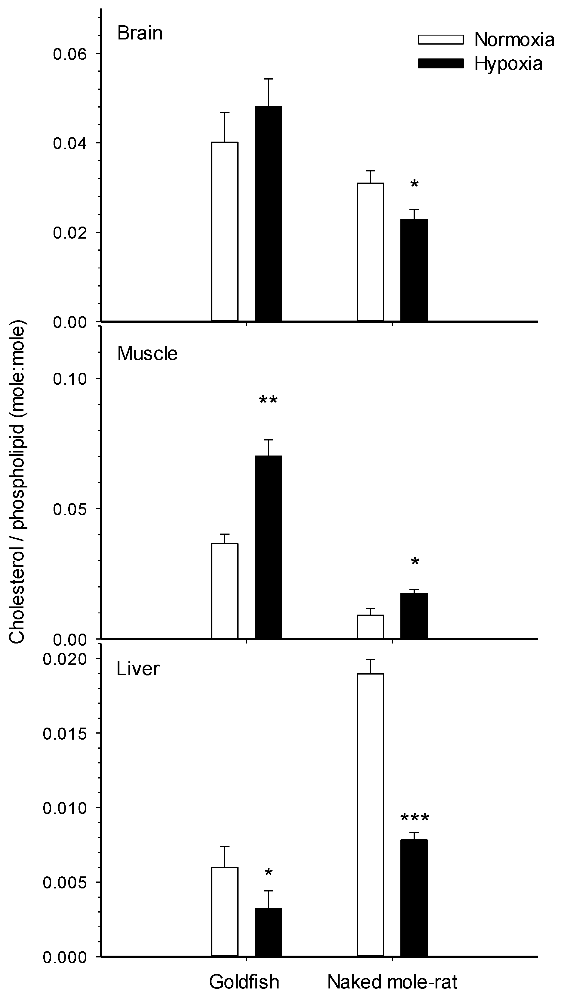 Metabolites 11 00503 g001