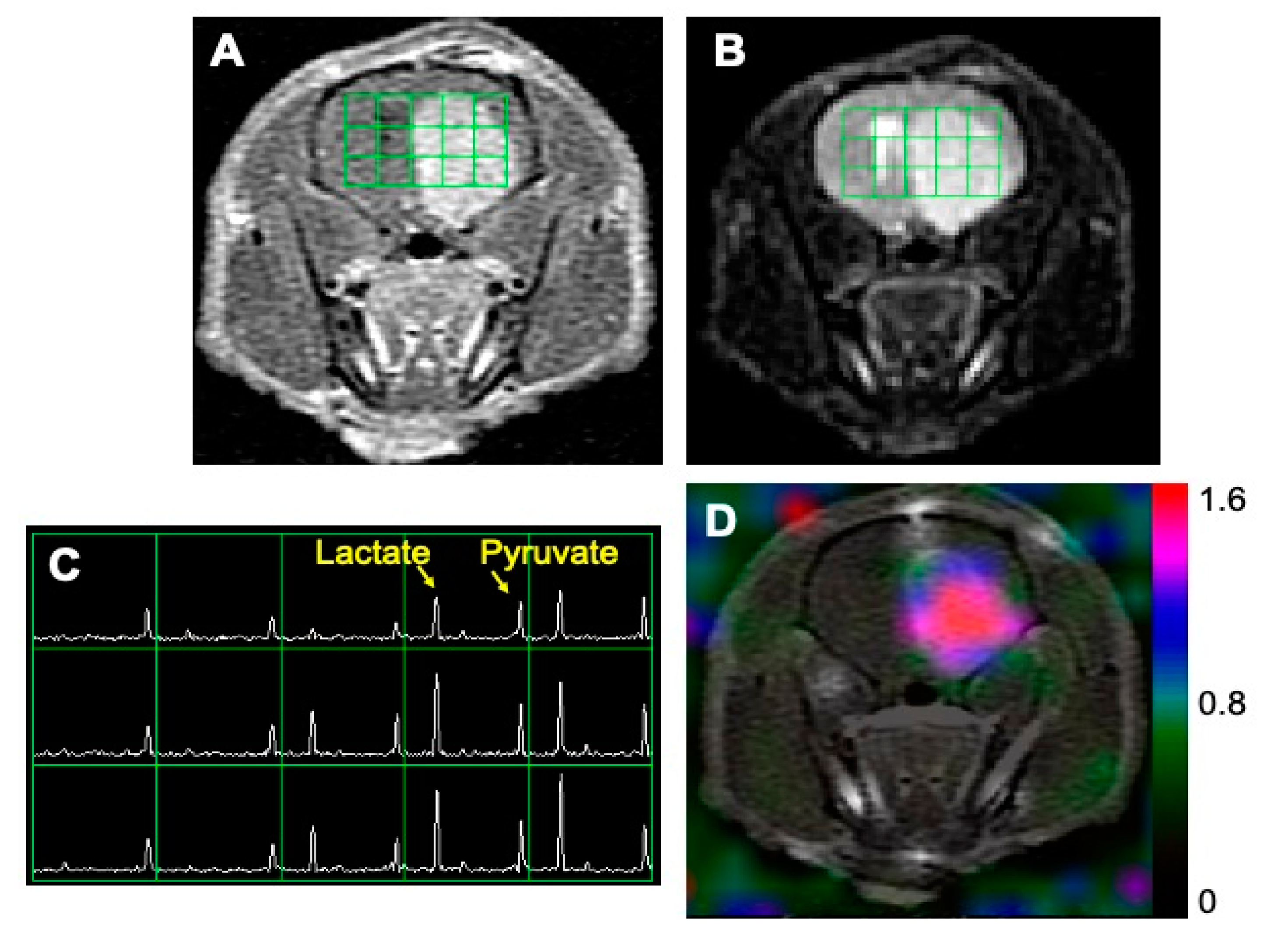 Metabolites 11 00504 g001