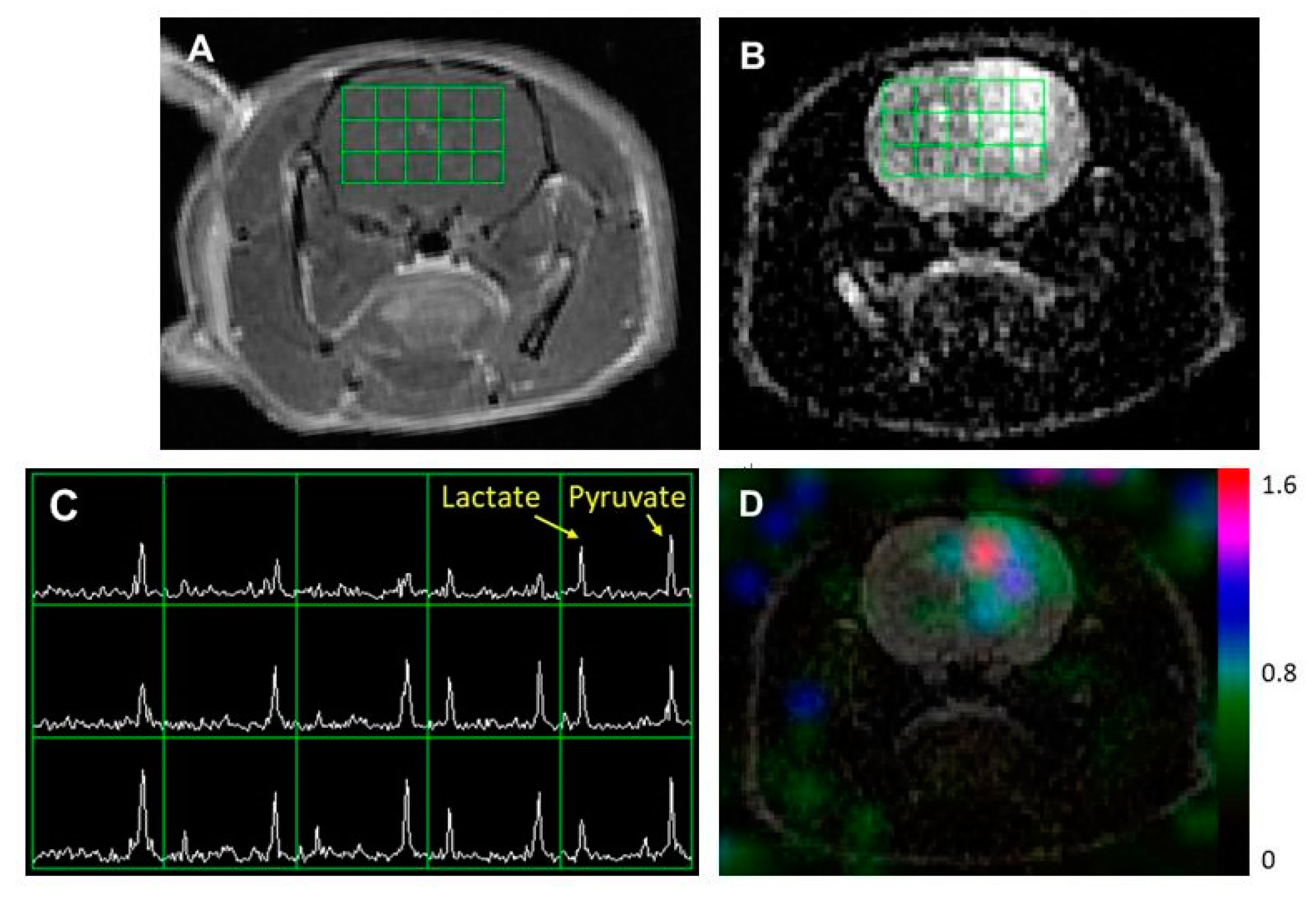 Metabolites 11 00504 g002