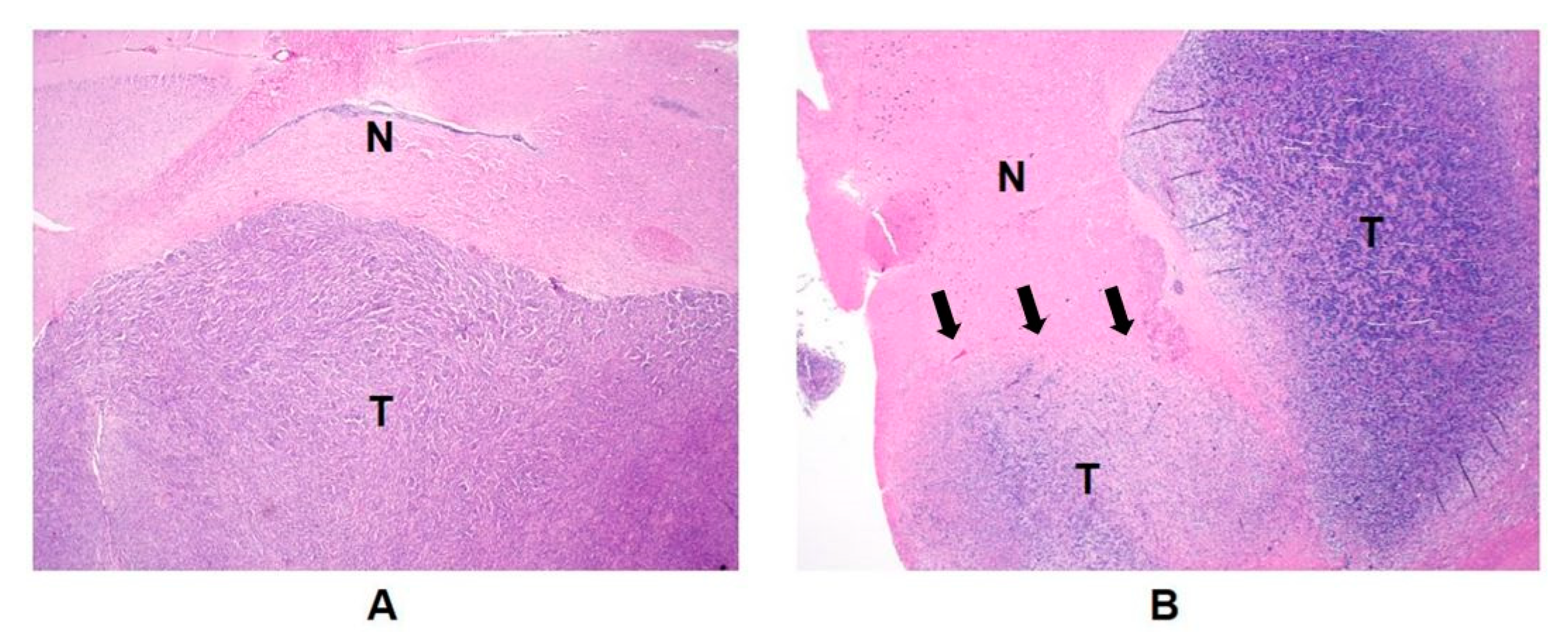 Metabolites 11 00504 g004