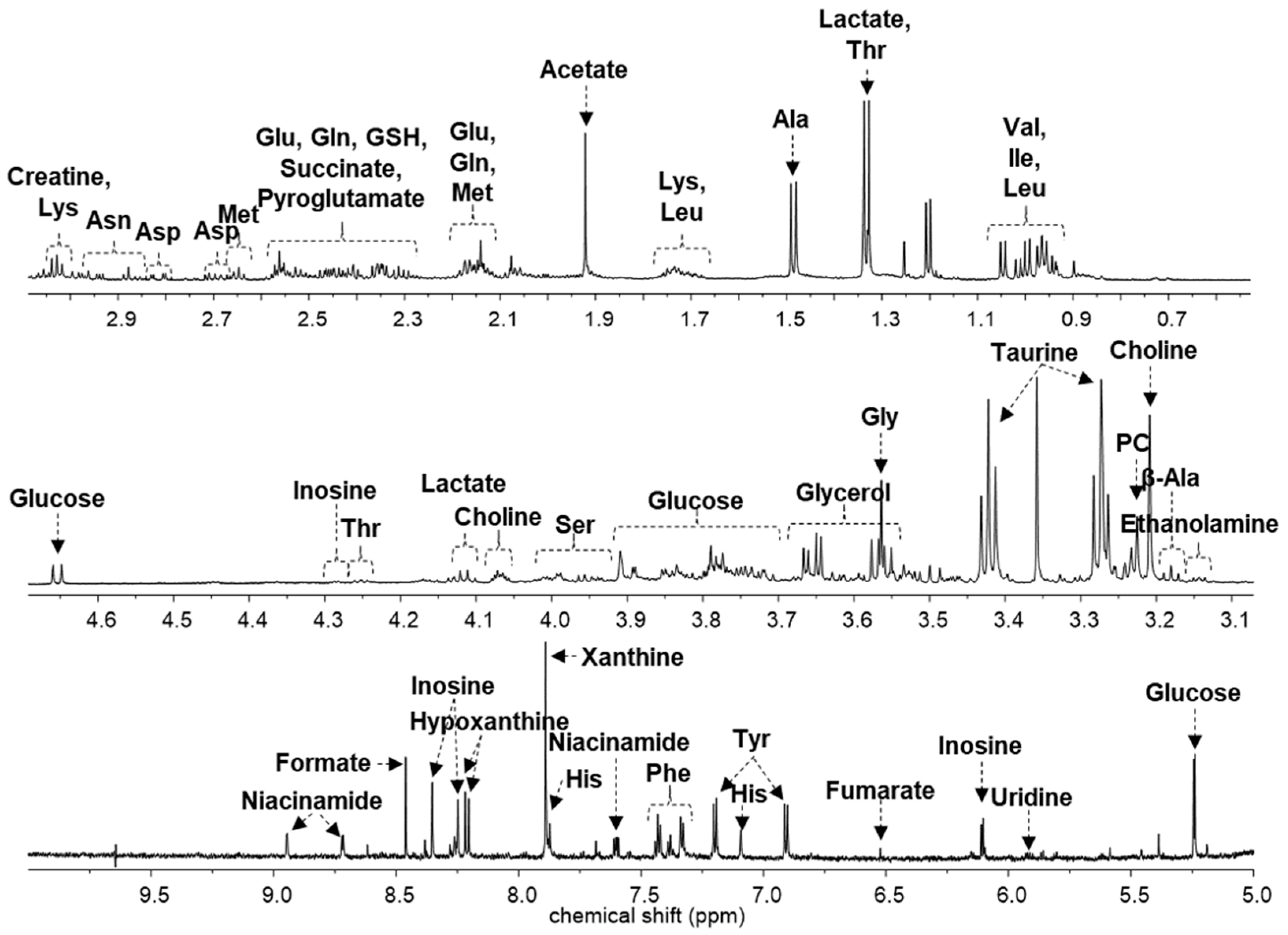Metabolites 11 00505 g002