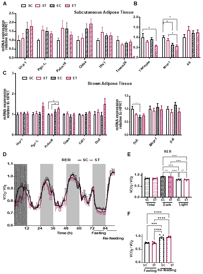 Metabolites 11 00508 g002