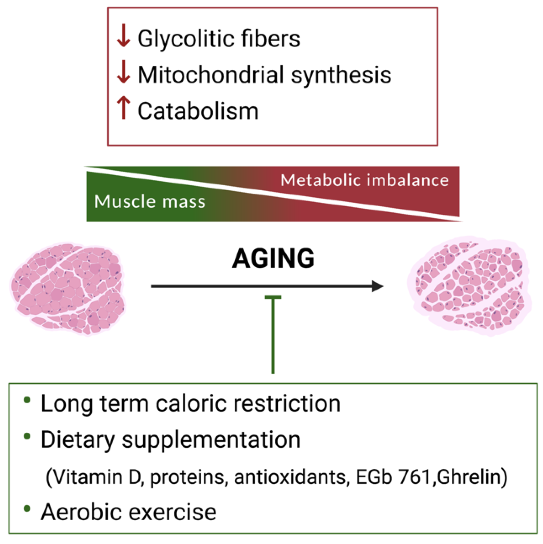 Metabolites 11 00517 g001 Metabolites 11 00517 g001