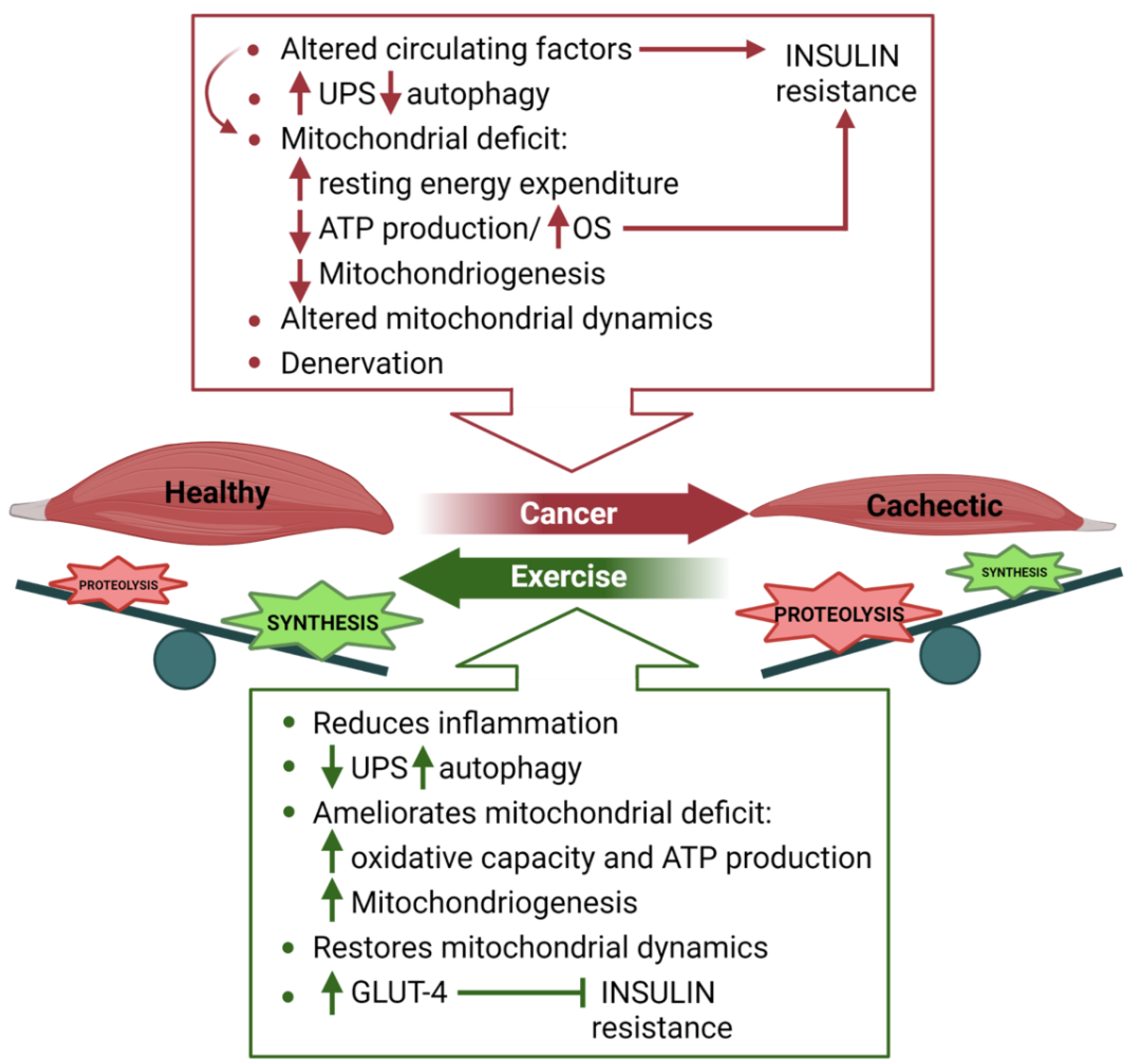 Metabolites 11 00517 g003 Metabolites 11 00517 g003