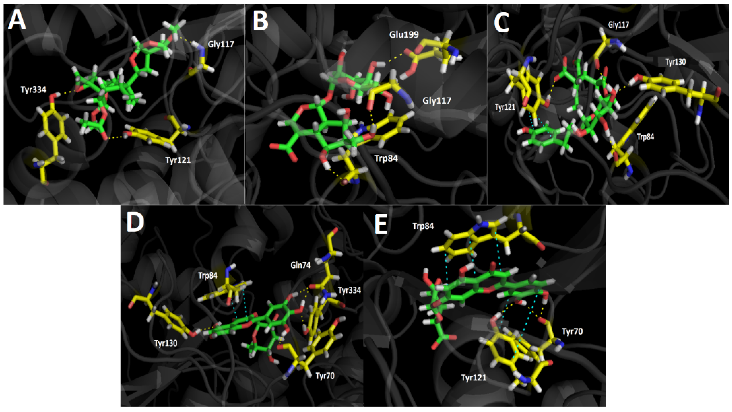 Metabolites 11 00523 g004 Metabolites 11 00523 g004