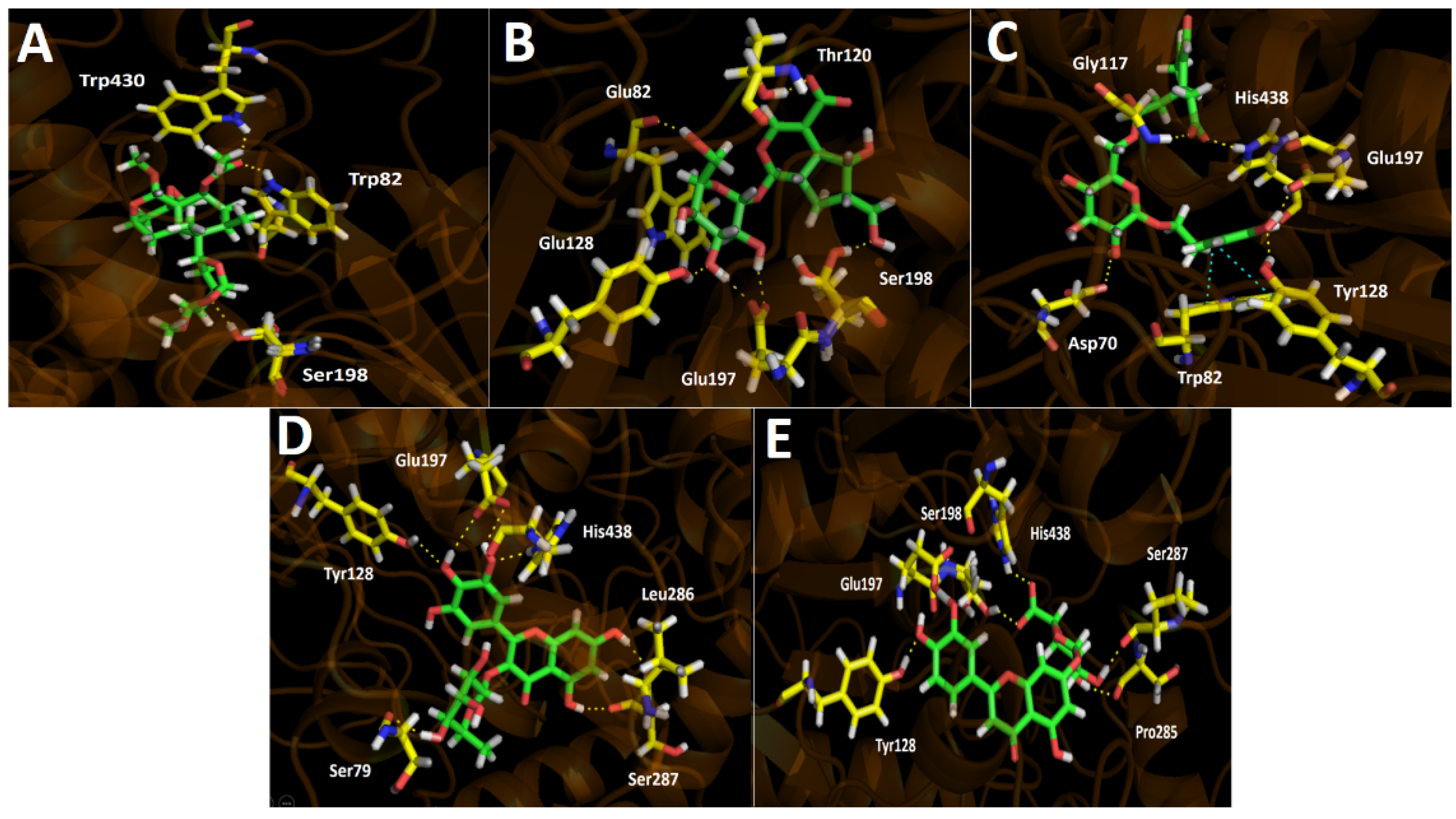 Metabolites 11 00523 g005 Metabolites 11 00523 g005