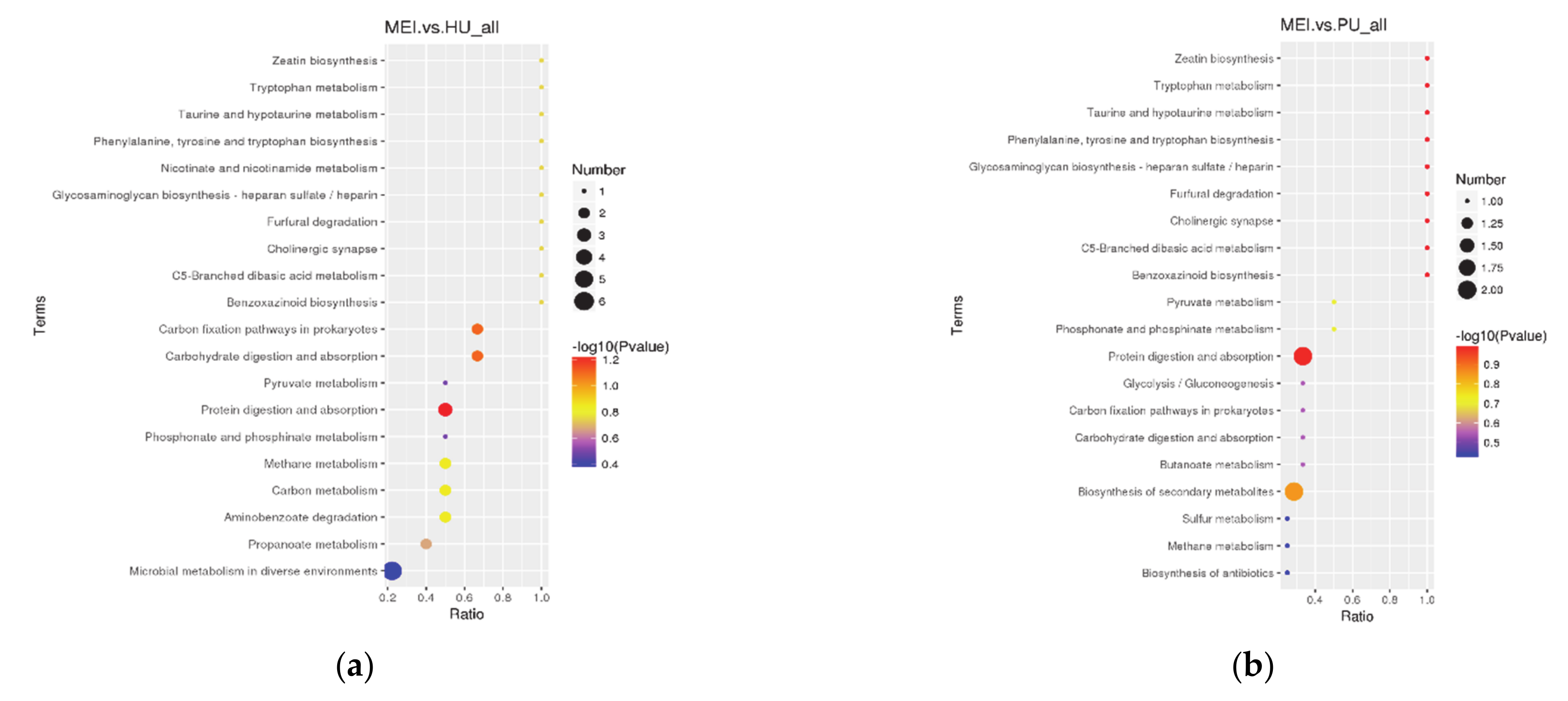 Metabolites 11 00528 g004a Metabolites 11 00528 g004a
