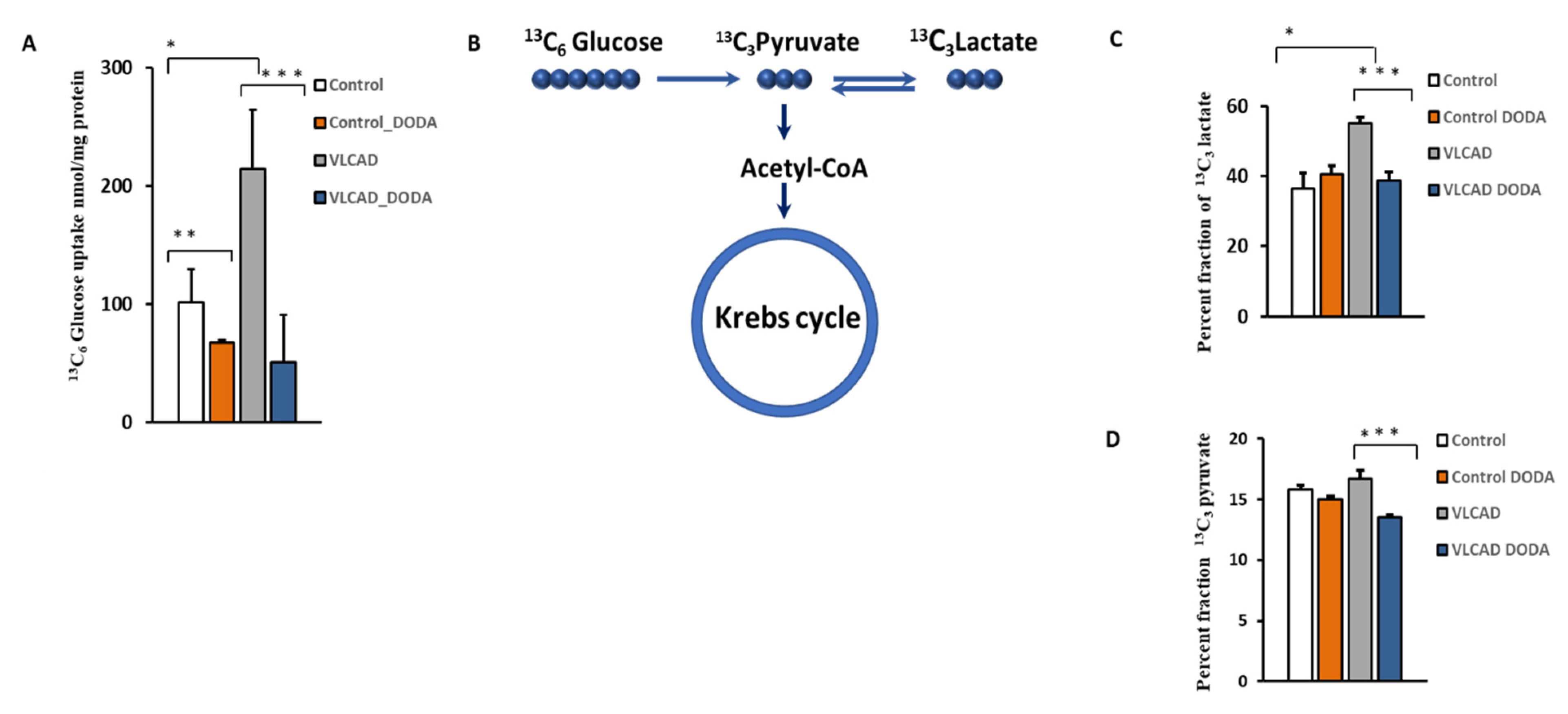 Metabolites 11 00538 g004