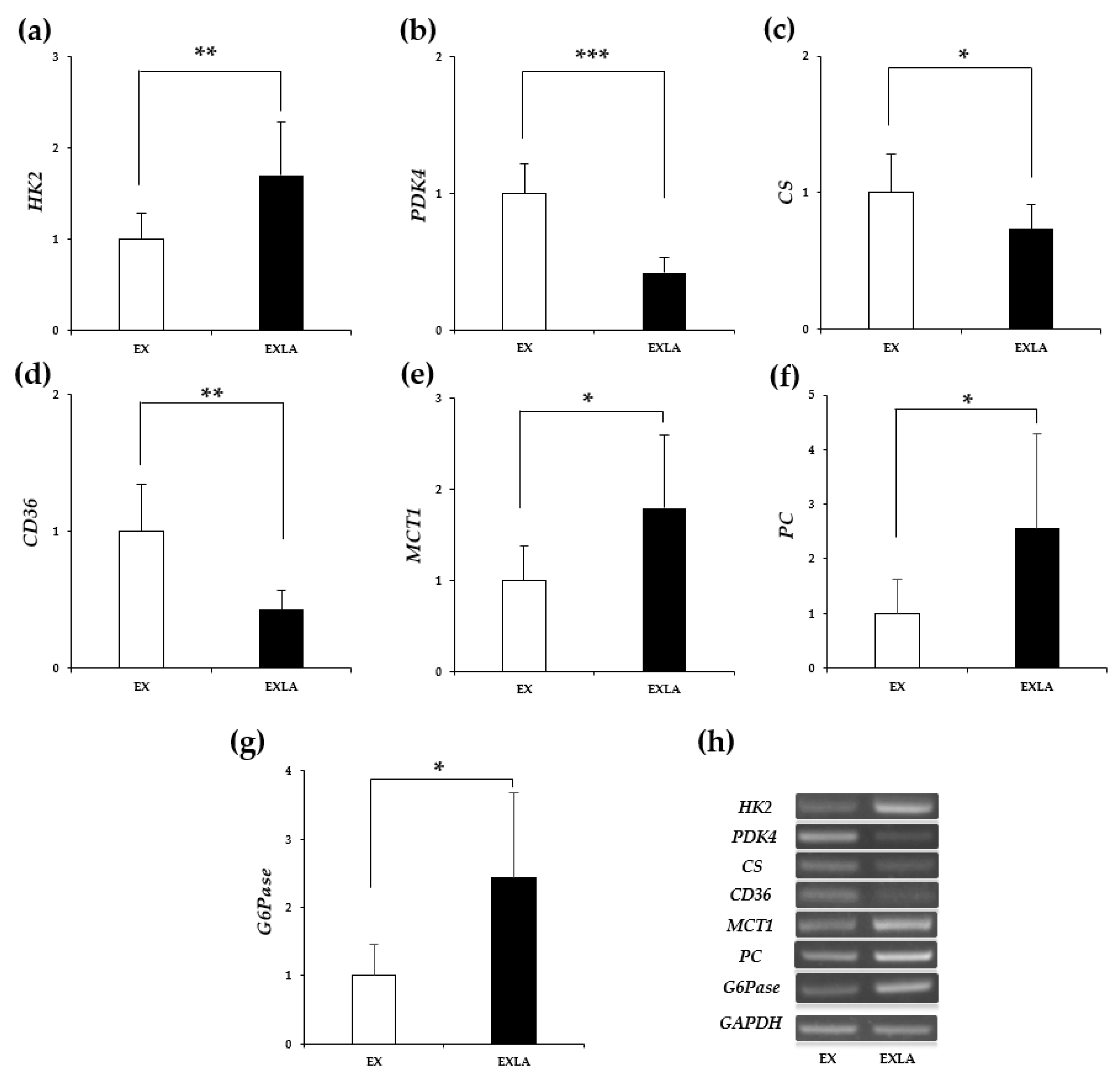 Metabolites 11 00553 g007