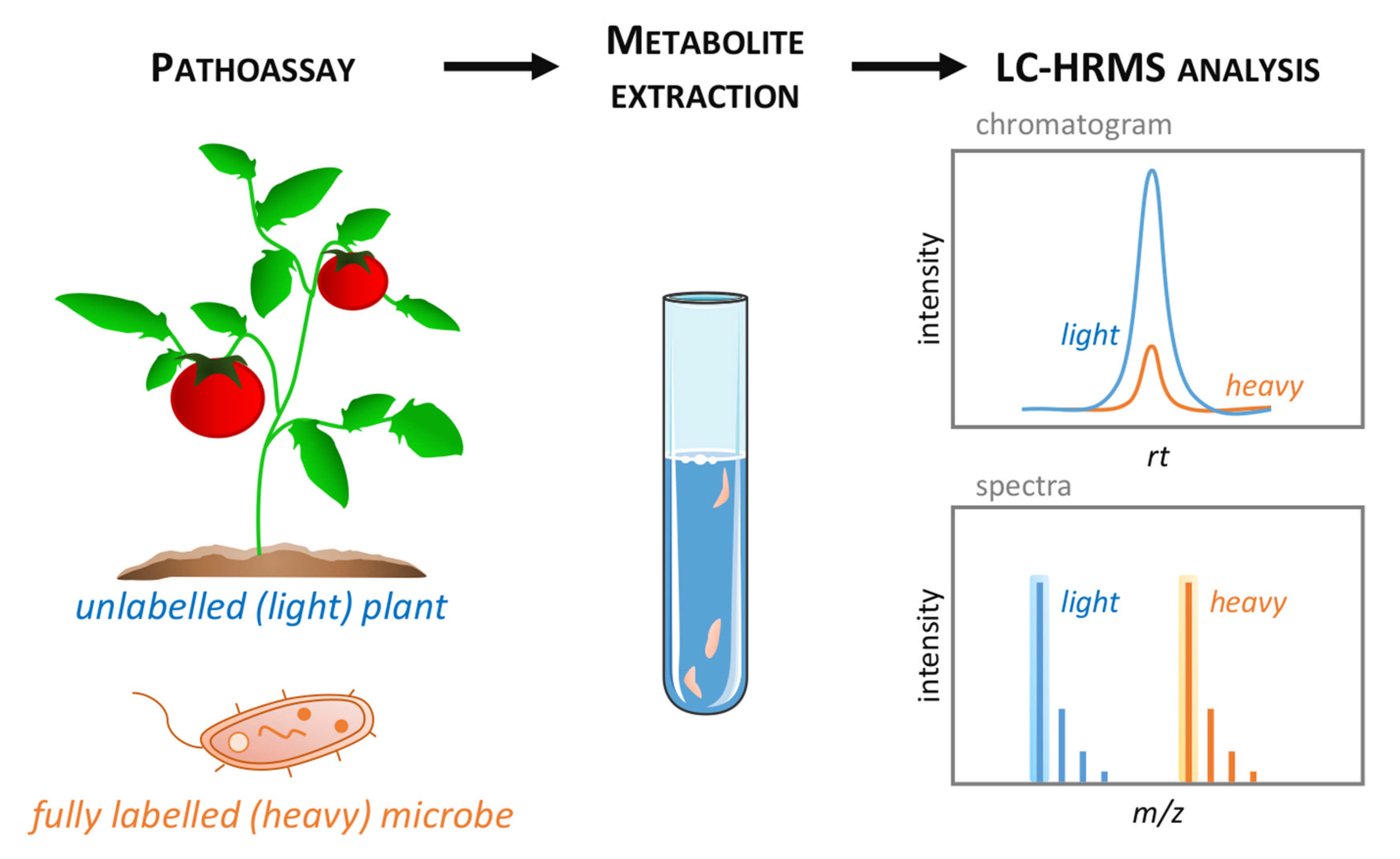 Metabolites 11 00558 g003