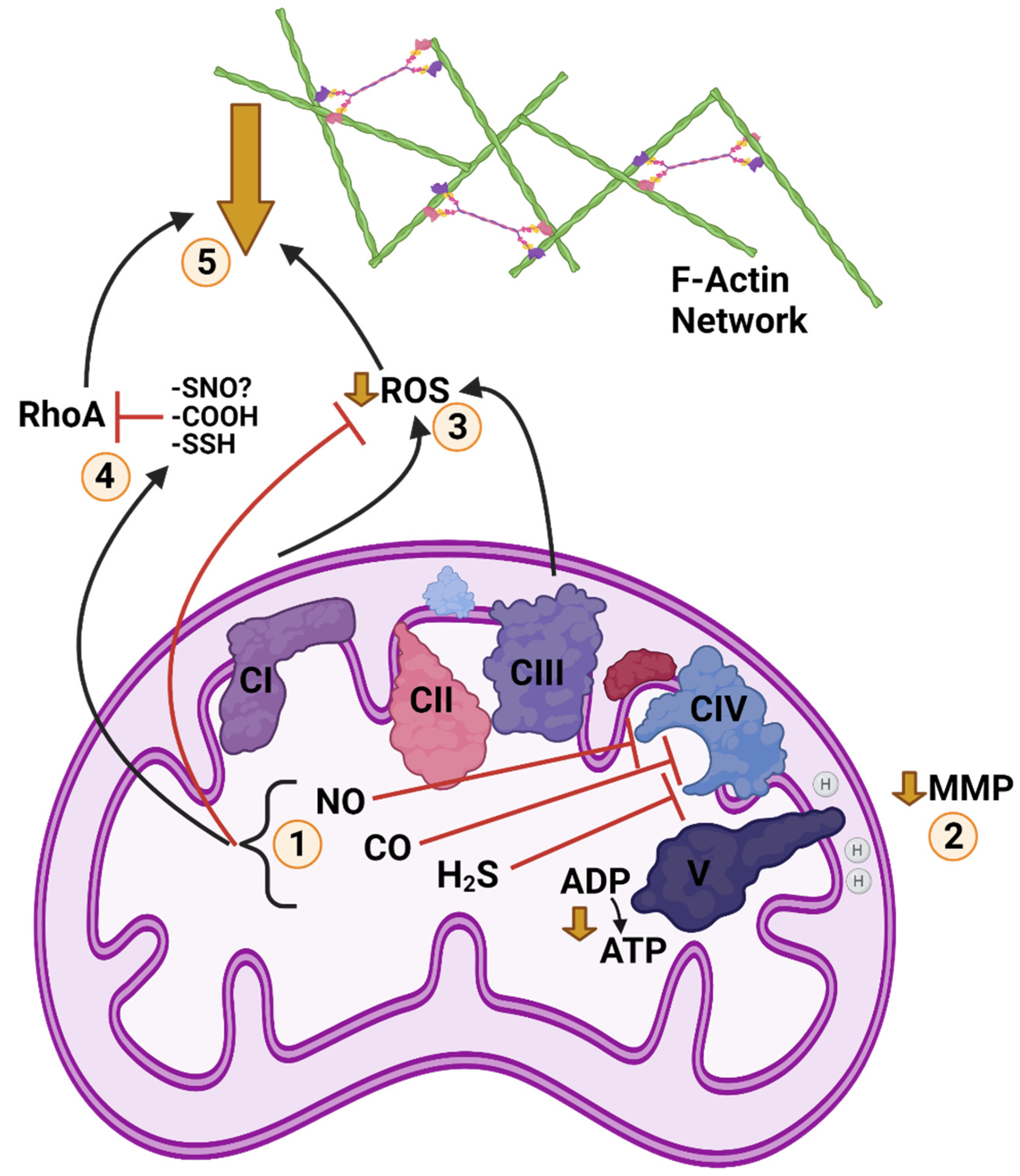 Metabolites 11 00561 g003 Metabolites 11 00561 g003