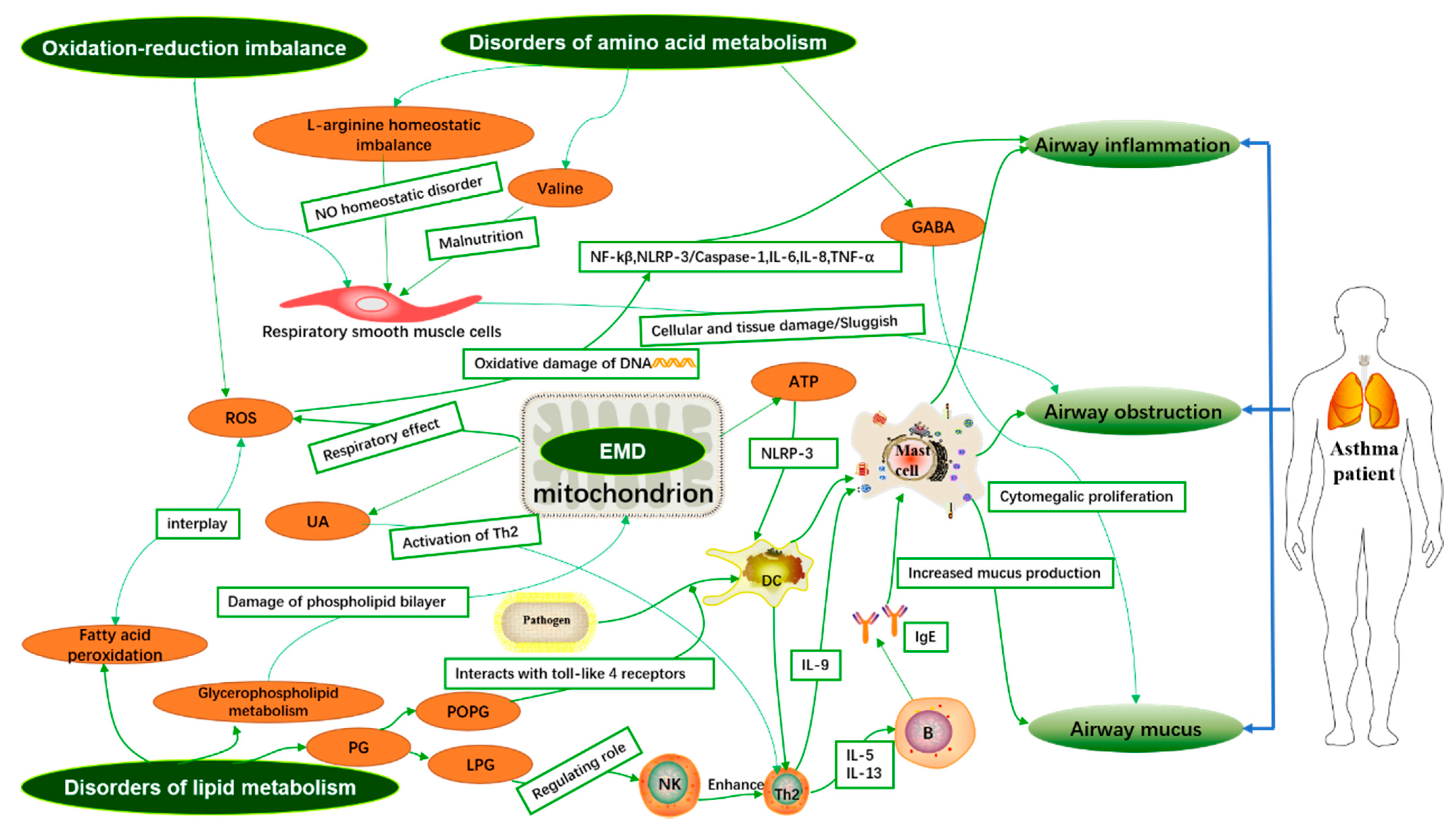 Metabolites 11 00567 g001 Metabolites 11 00567 g001