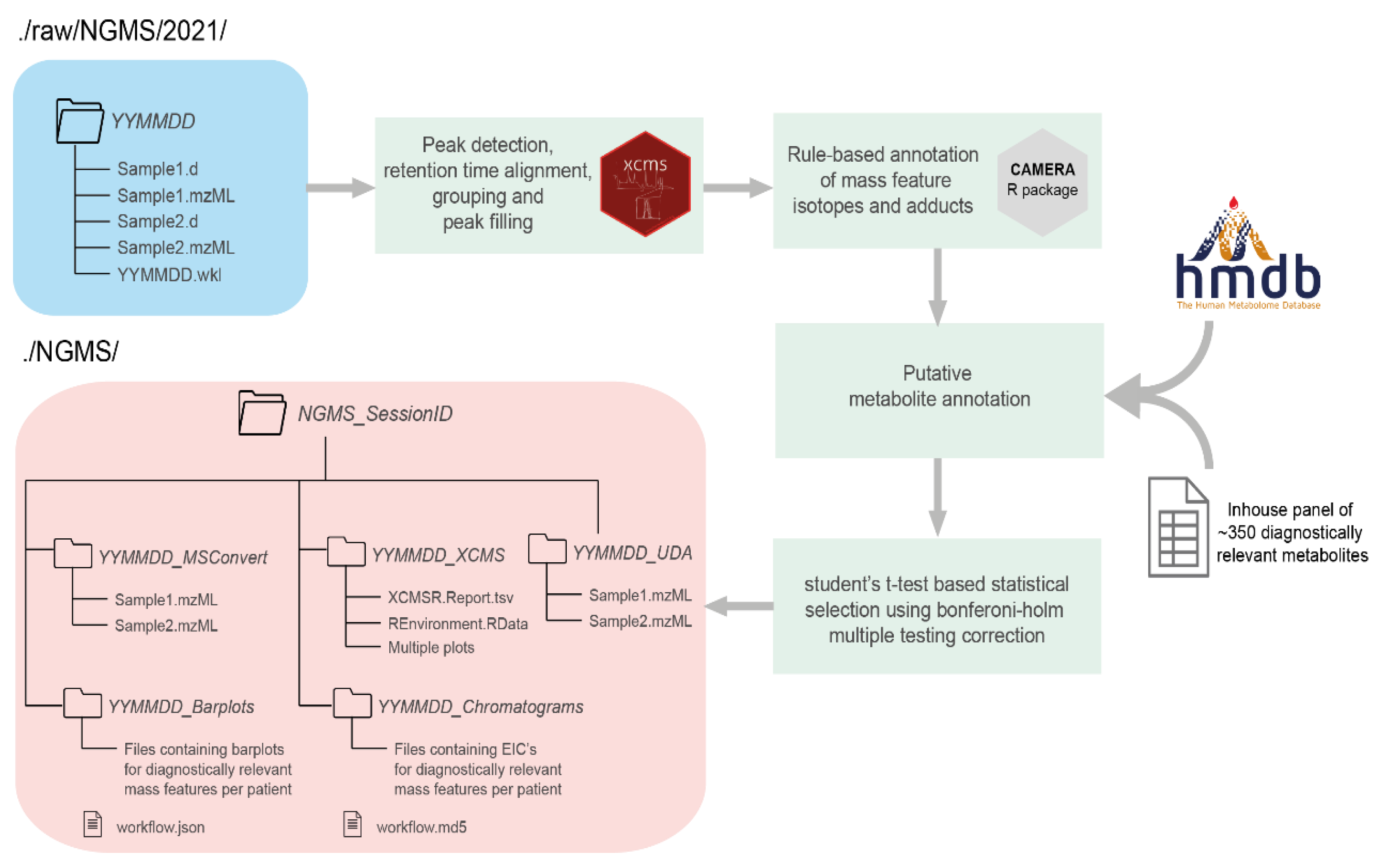 Metabolites 11 00568 g002