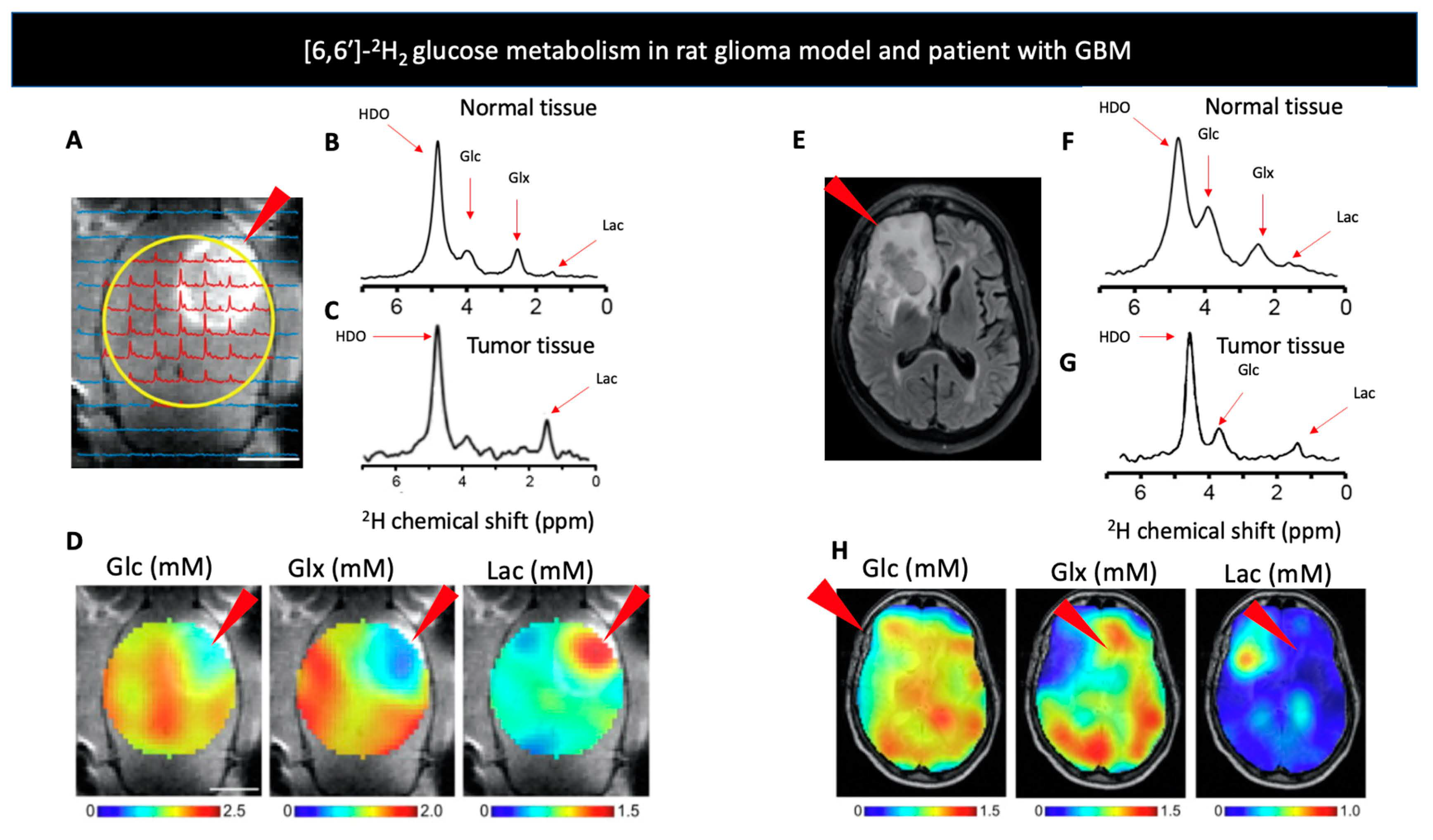 Metabolites 11 00570 g001