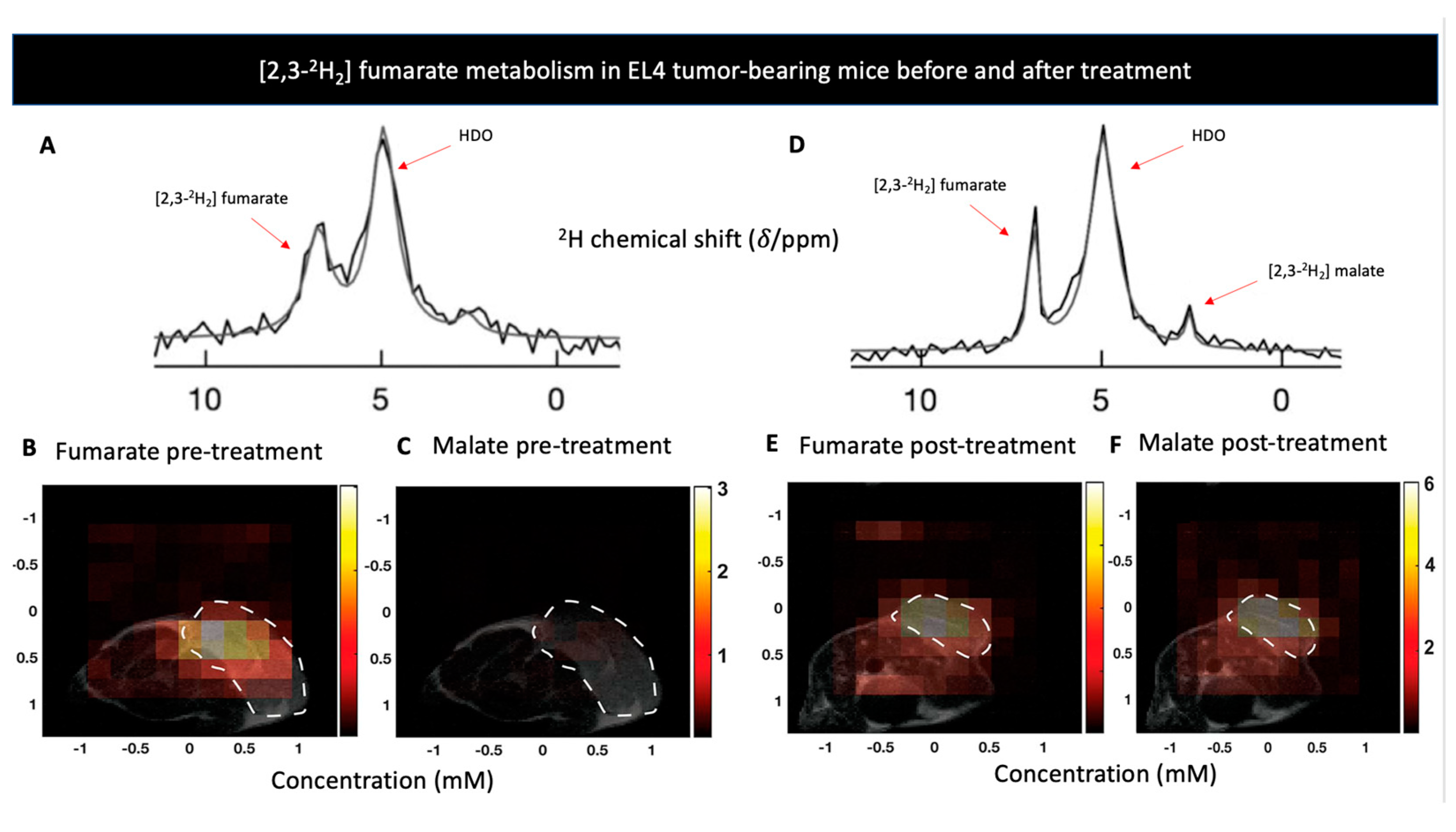 Metabolites 11 00570 g002