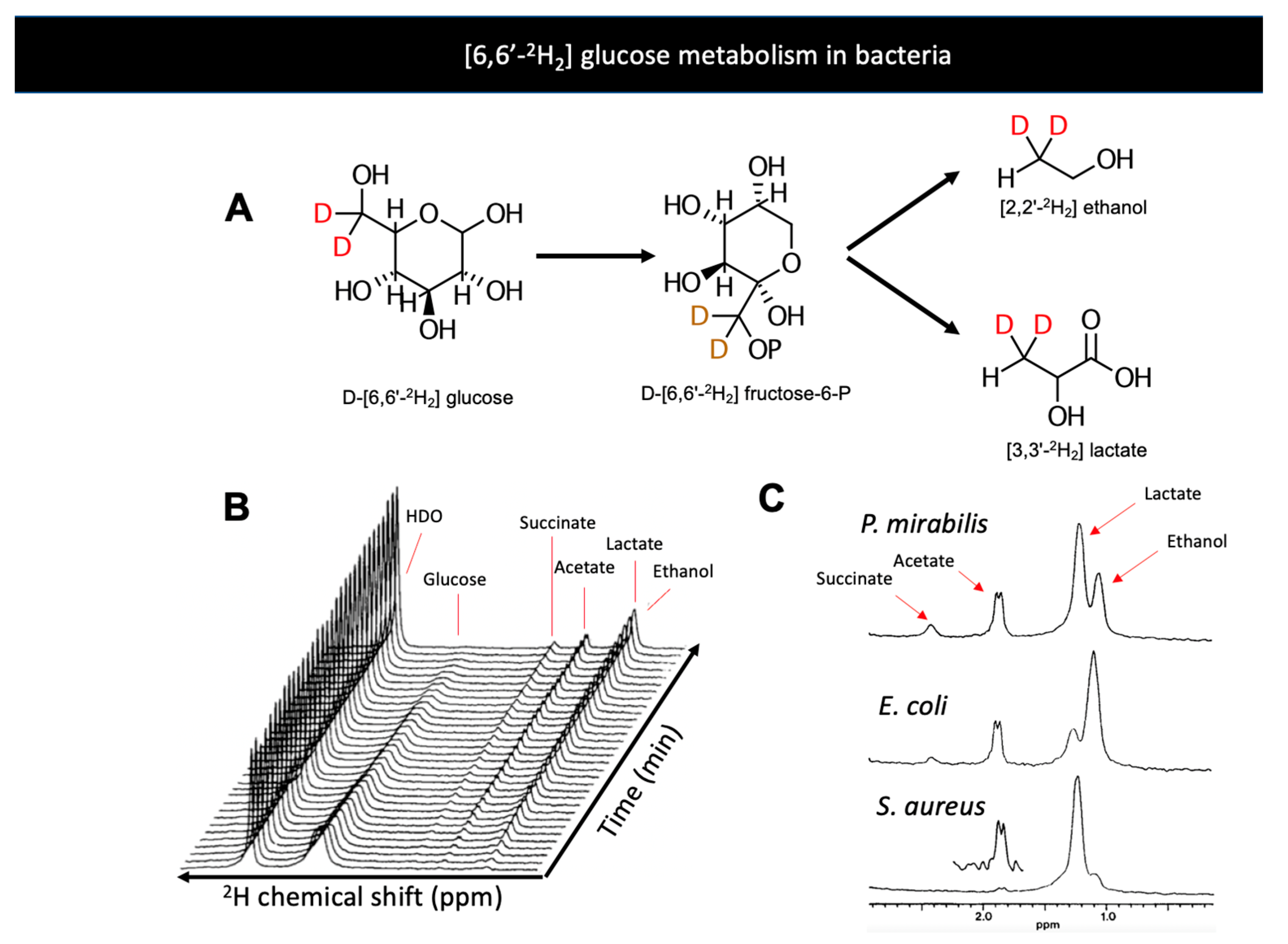 Metabolites 11 00570 g003