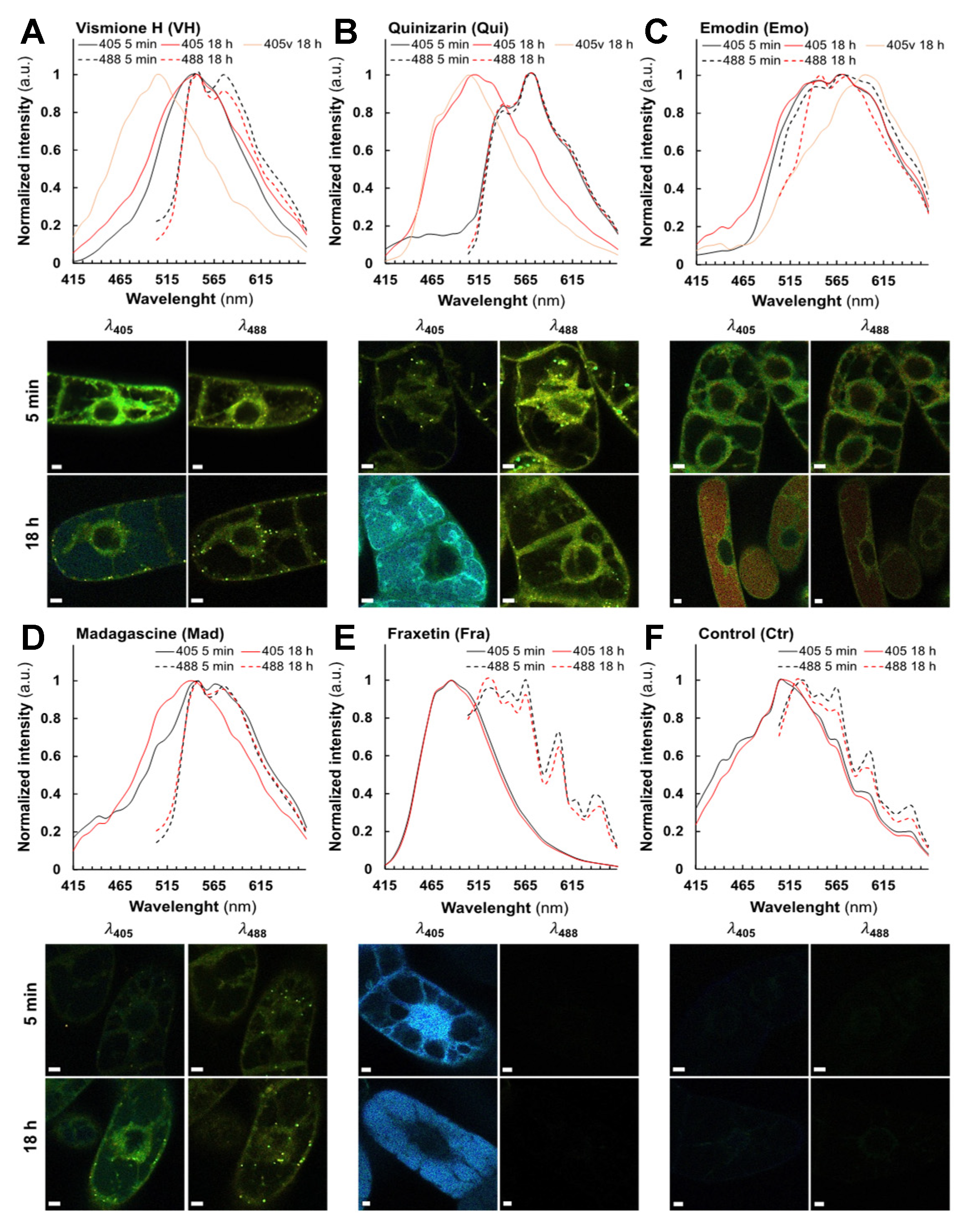Metabolites 11 00571 g004