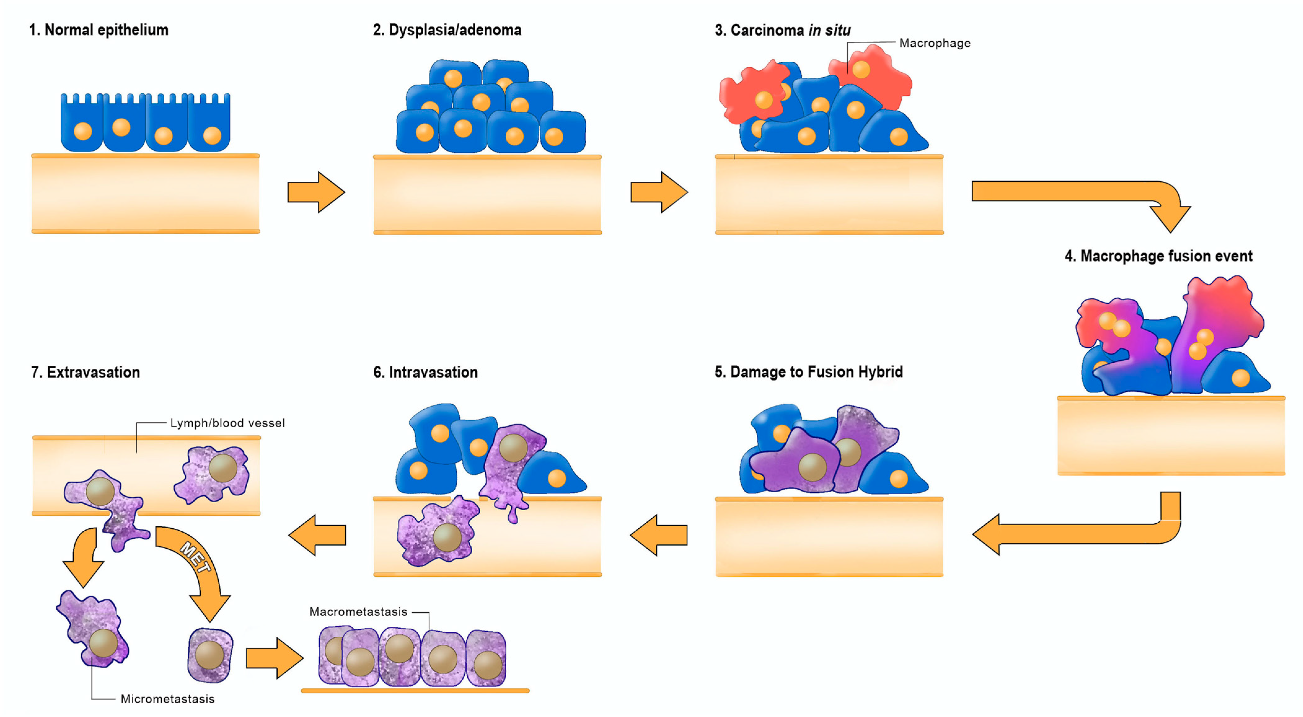 Metabolites 11 00572 g003
