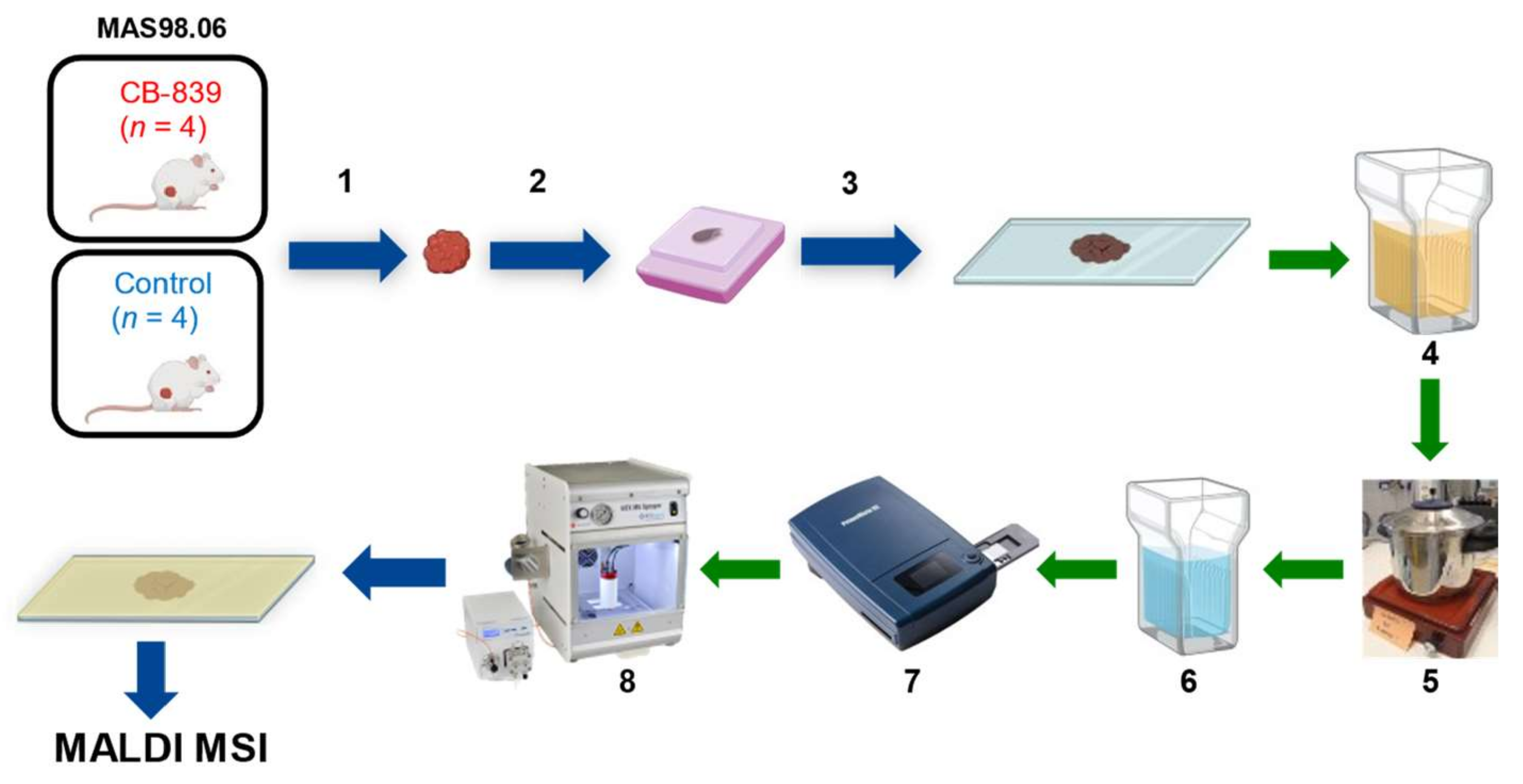 Metabolites 11 00577 g004