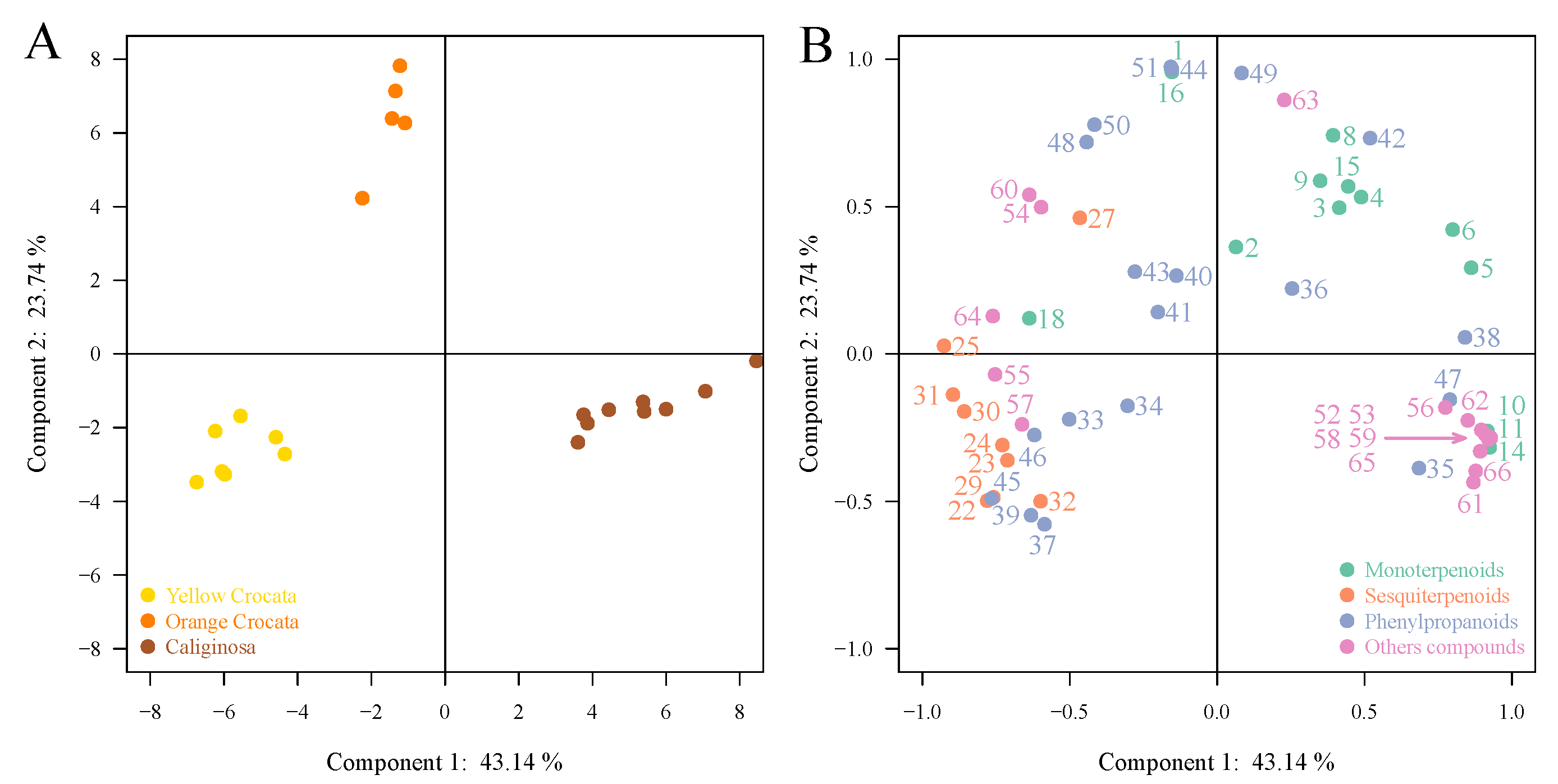 Metabolites 11 00594 g003