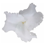 Metabolites 11 00594 i001